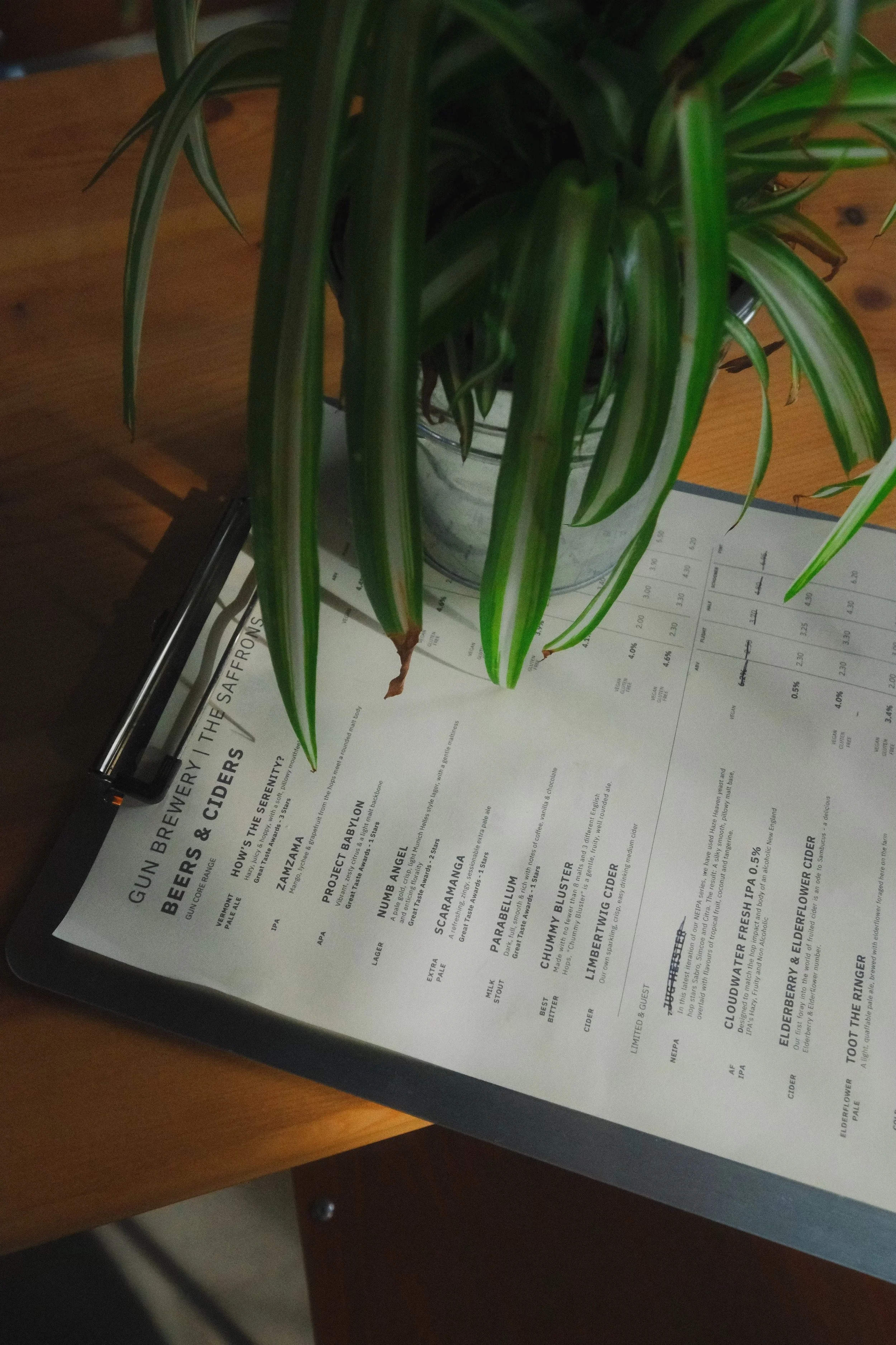 harvey gunn fire-024 (1).jpeg