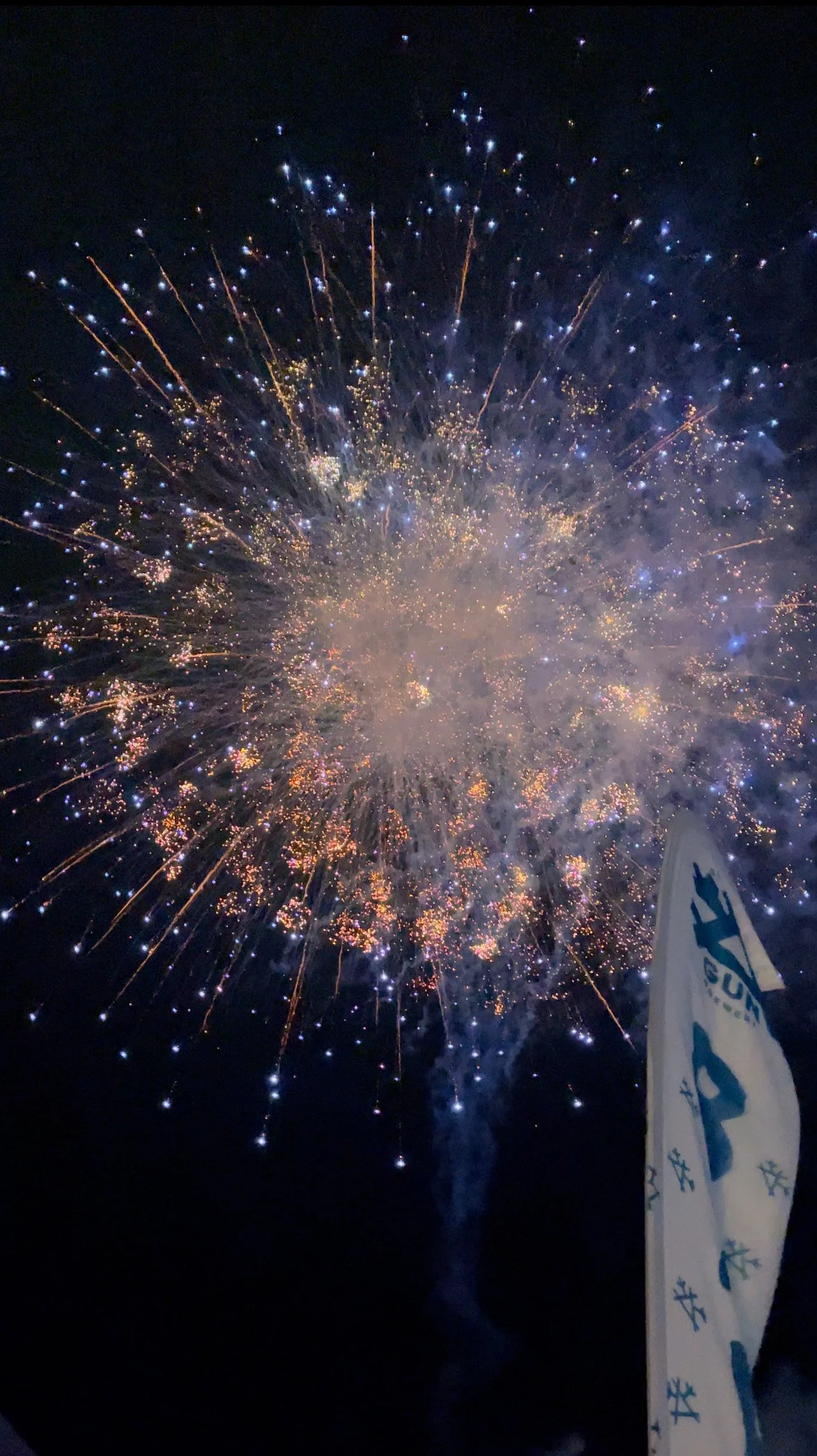 The Saffrons Firework Display