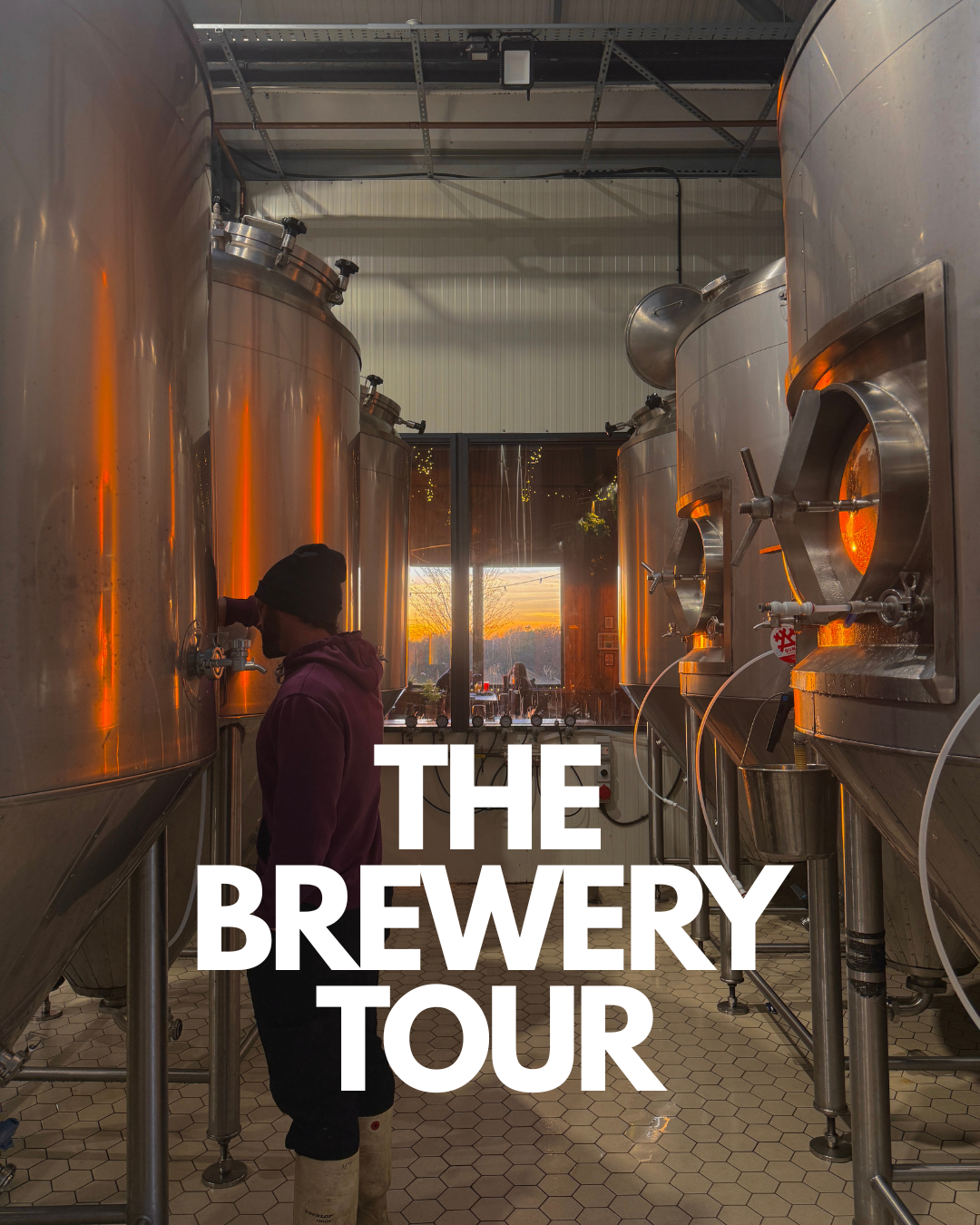 The Brewery Tour