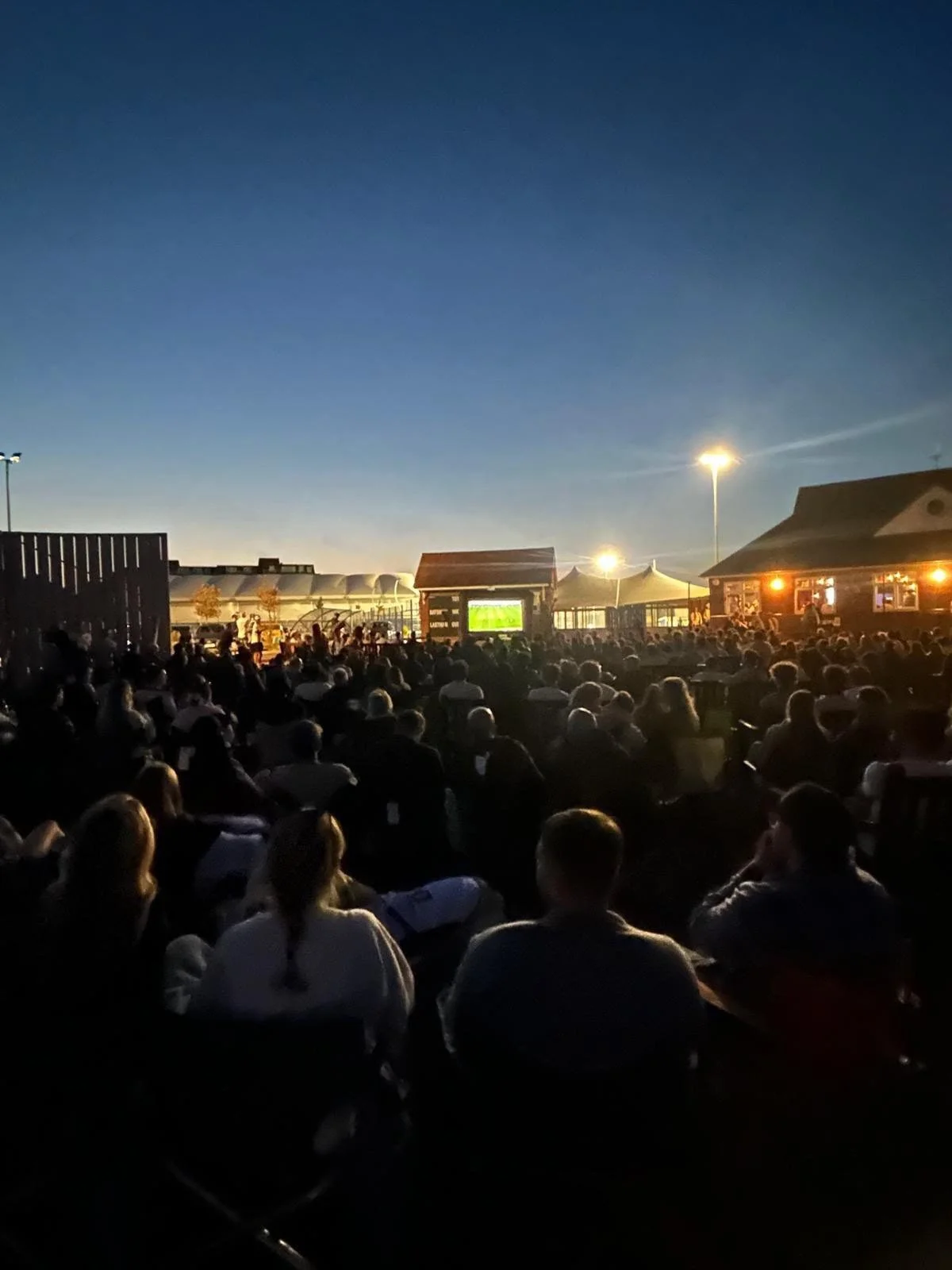 THE WORLD CUP FINAL