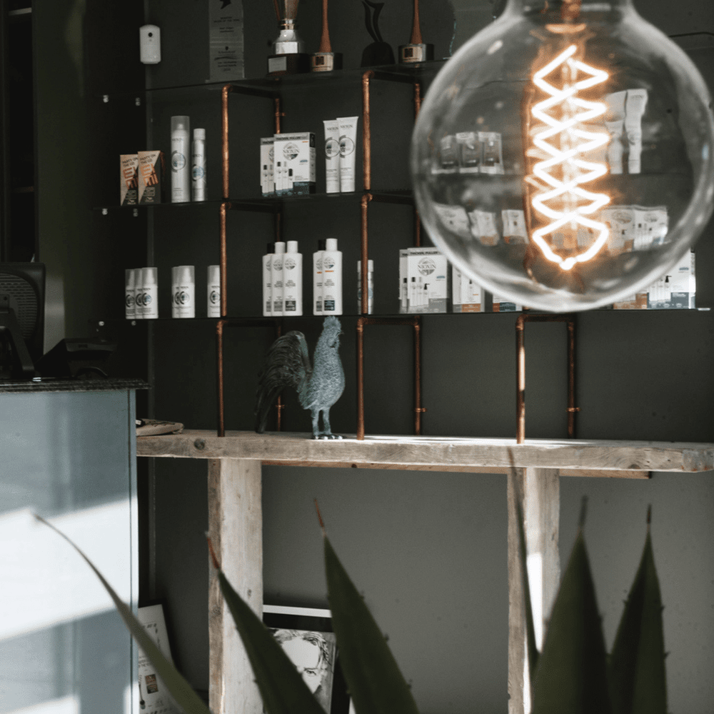 The Salon — Niall Colgan