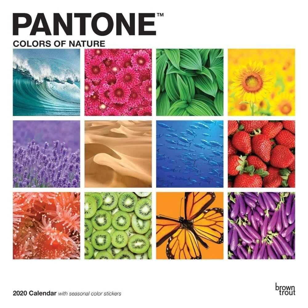 Pantone Spring/Summer 2020