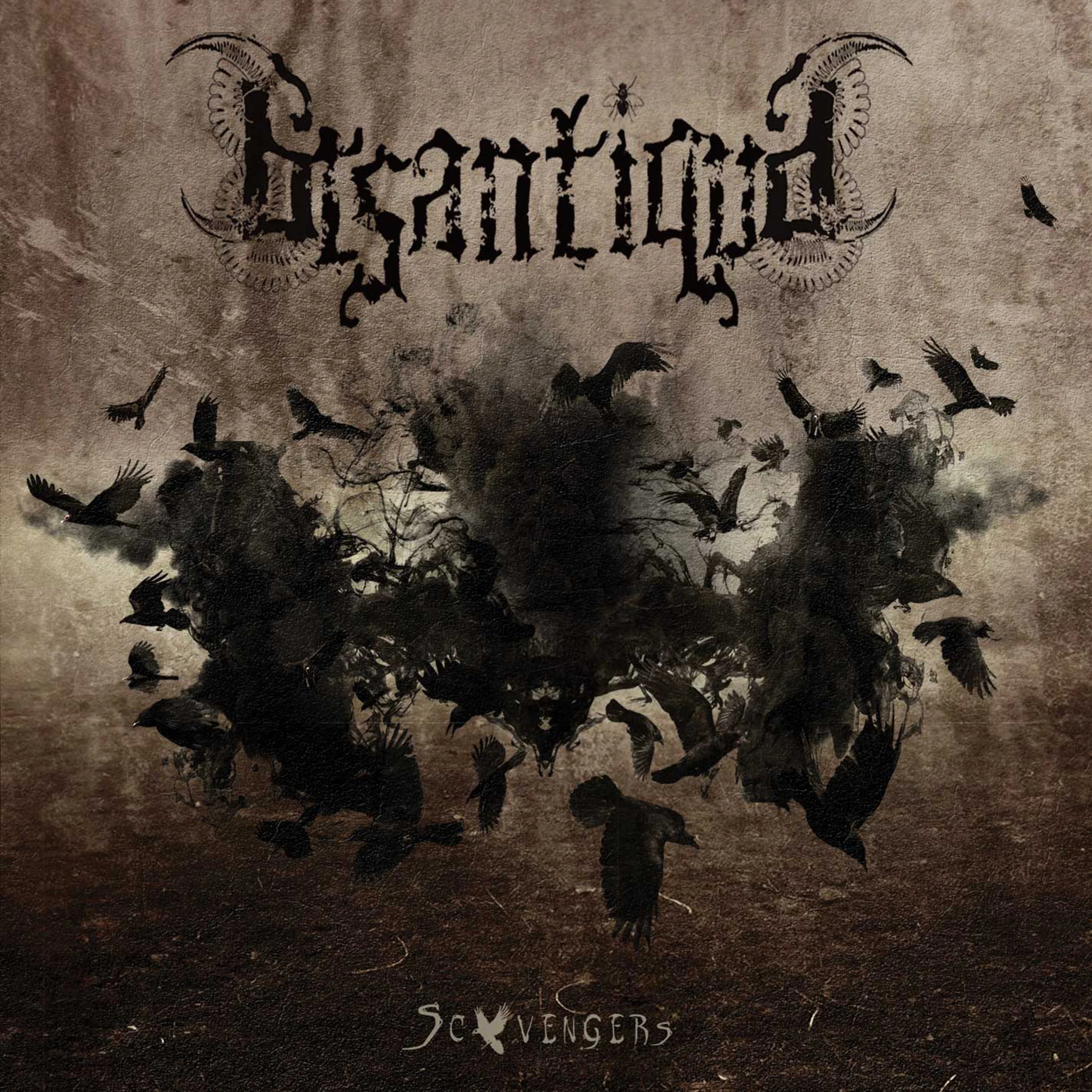 Web-Cover.jpg