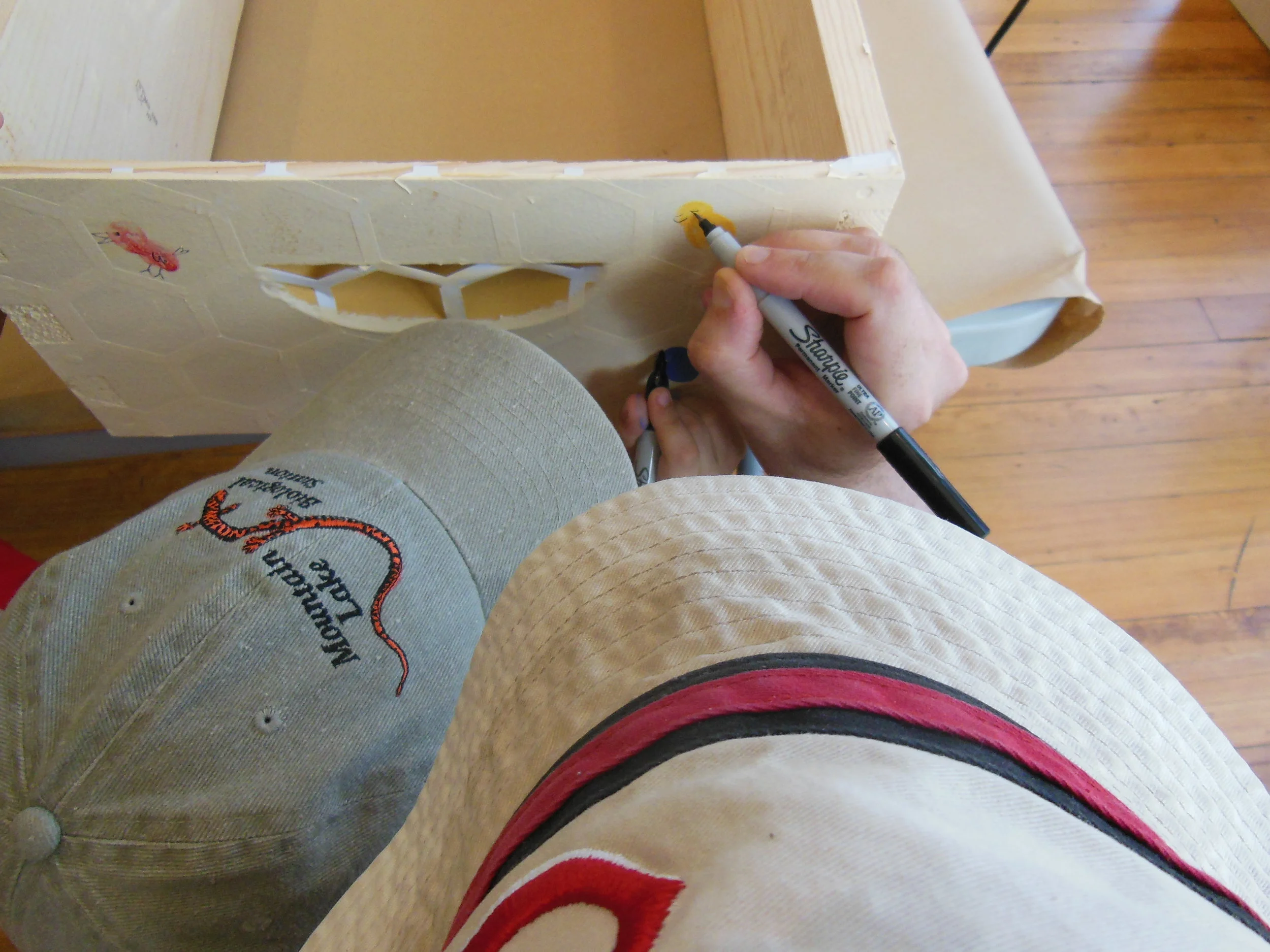 Paint the Hive Event