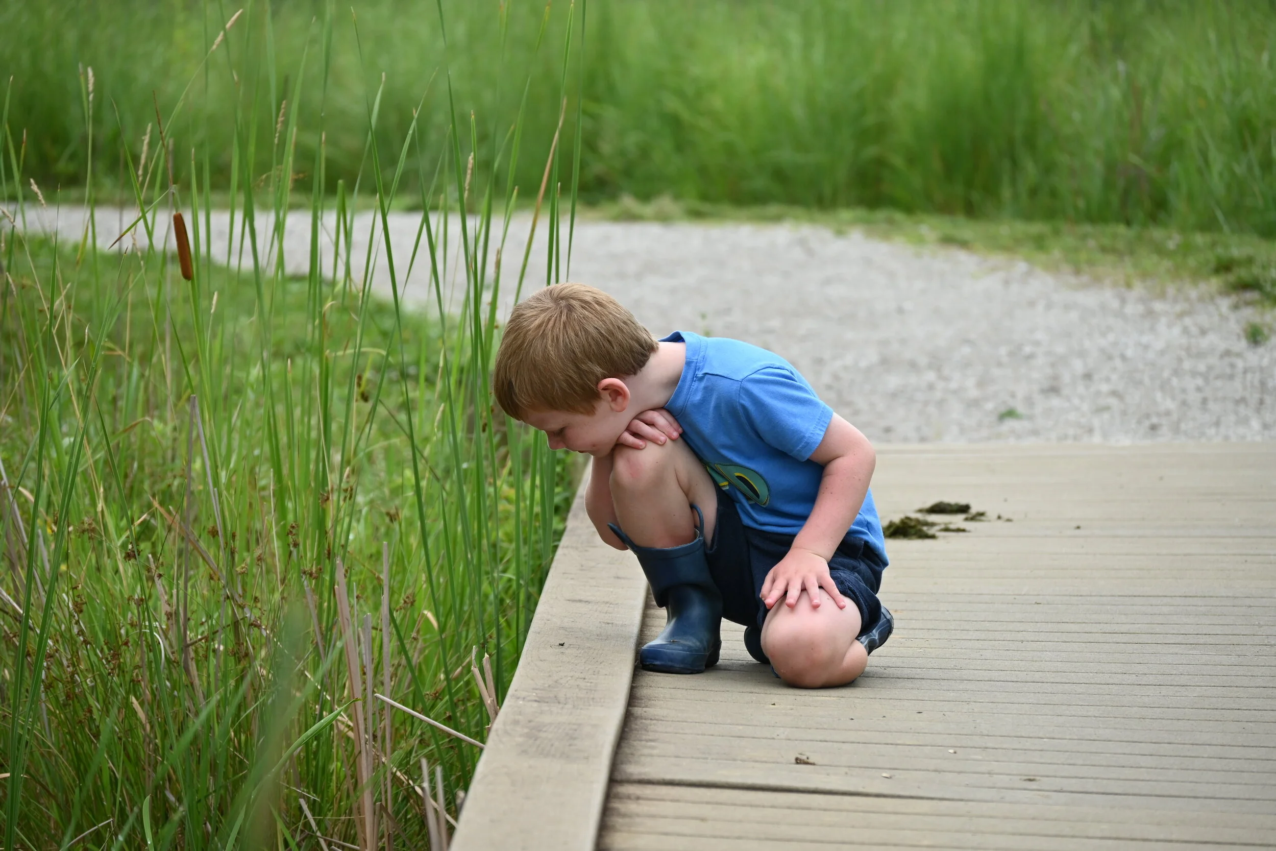 This season: Seeking Inspiration