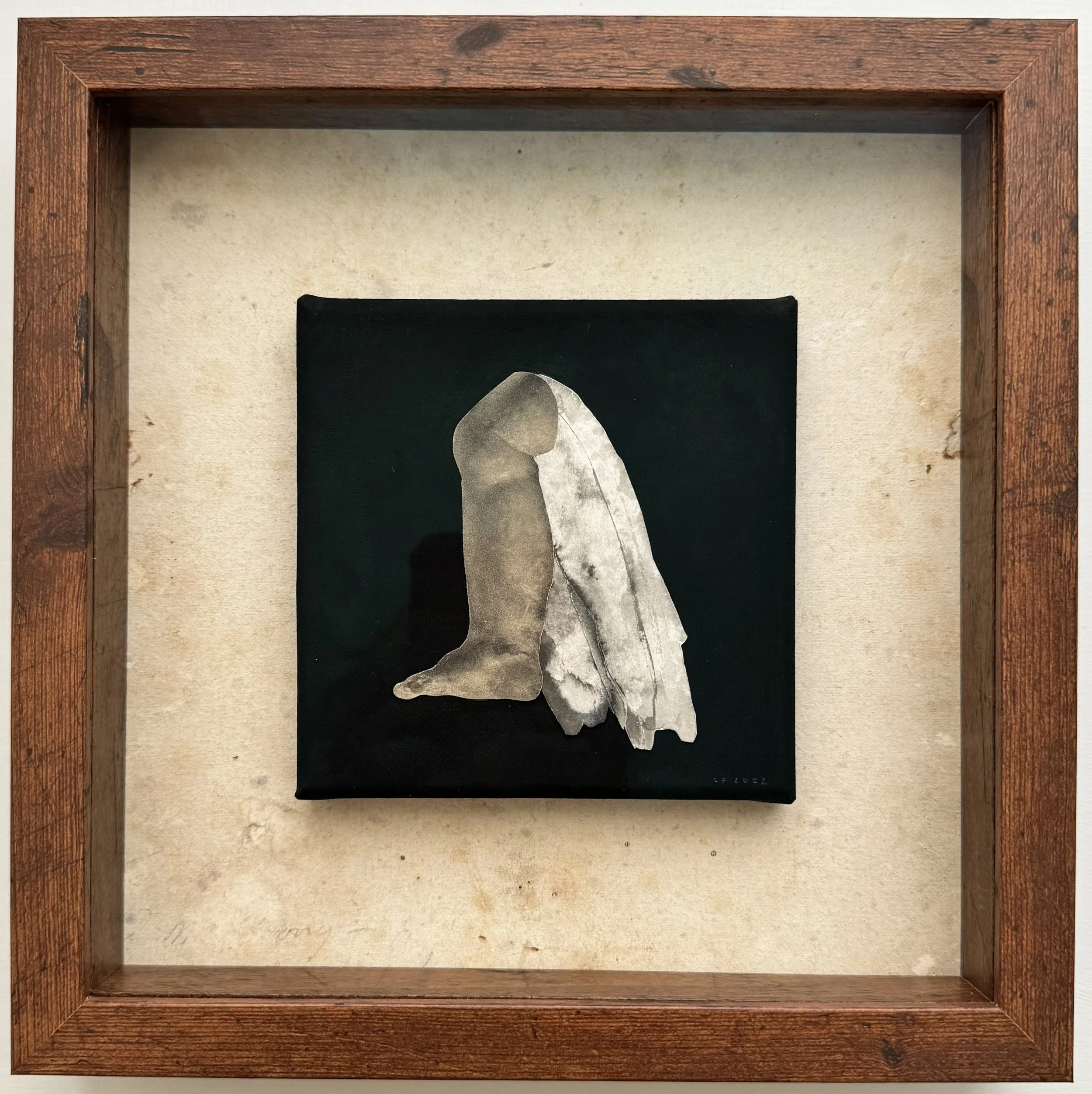 ex libris / mixed media collage on canvas in wooden frame / 10 x 10 x 2 inches / 2022-2024