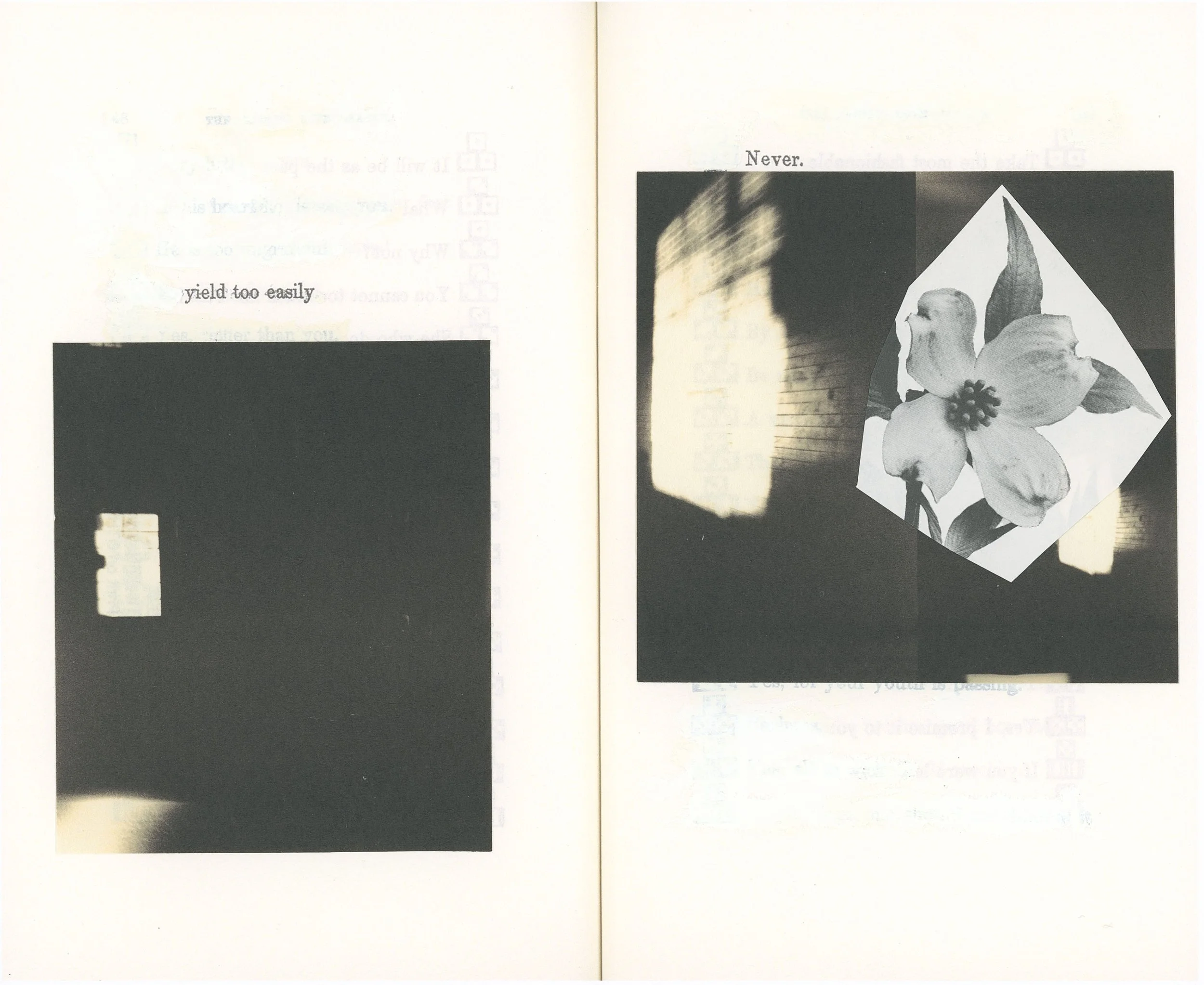 yield too easily never / mixed media collage on archival pigment print / 8 x 10 inches / 2025