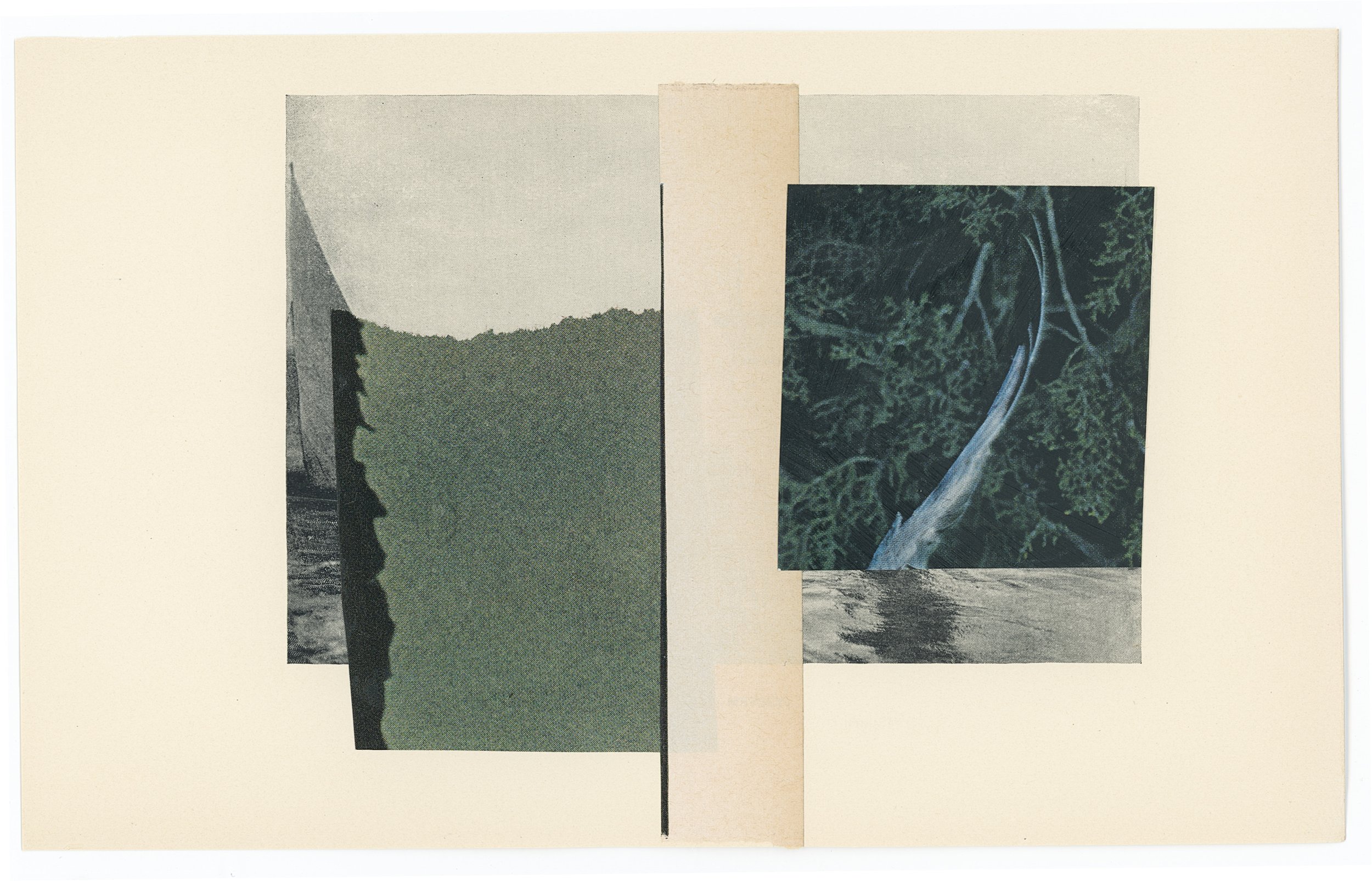 among filaments_5 x 8.125 inches_2024.jpg