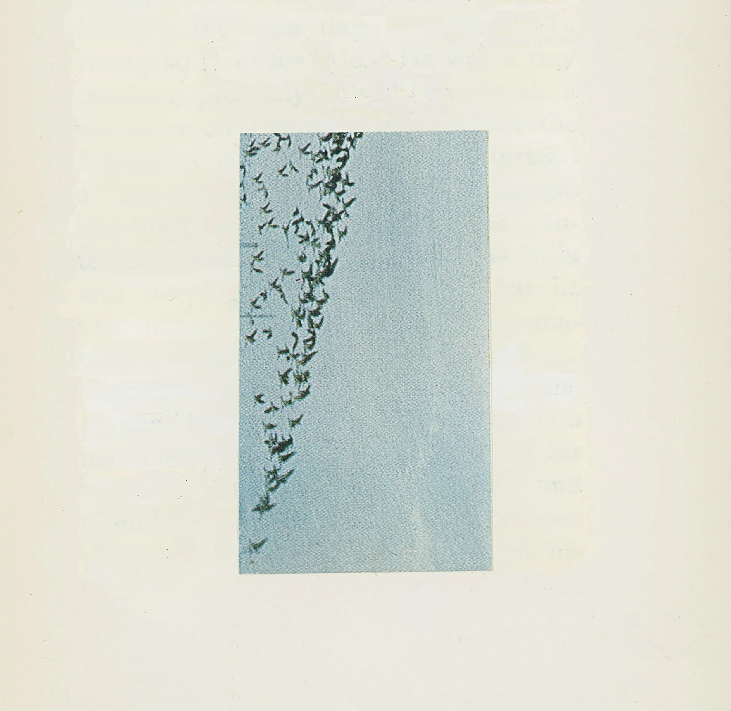 Lesley Finn_Moderna Records_Artwork.jpg