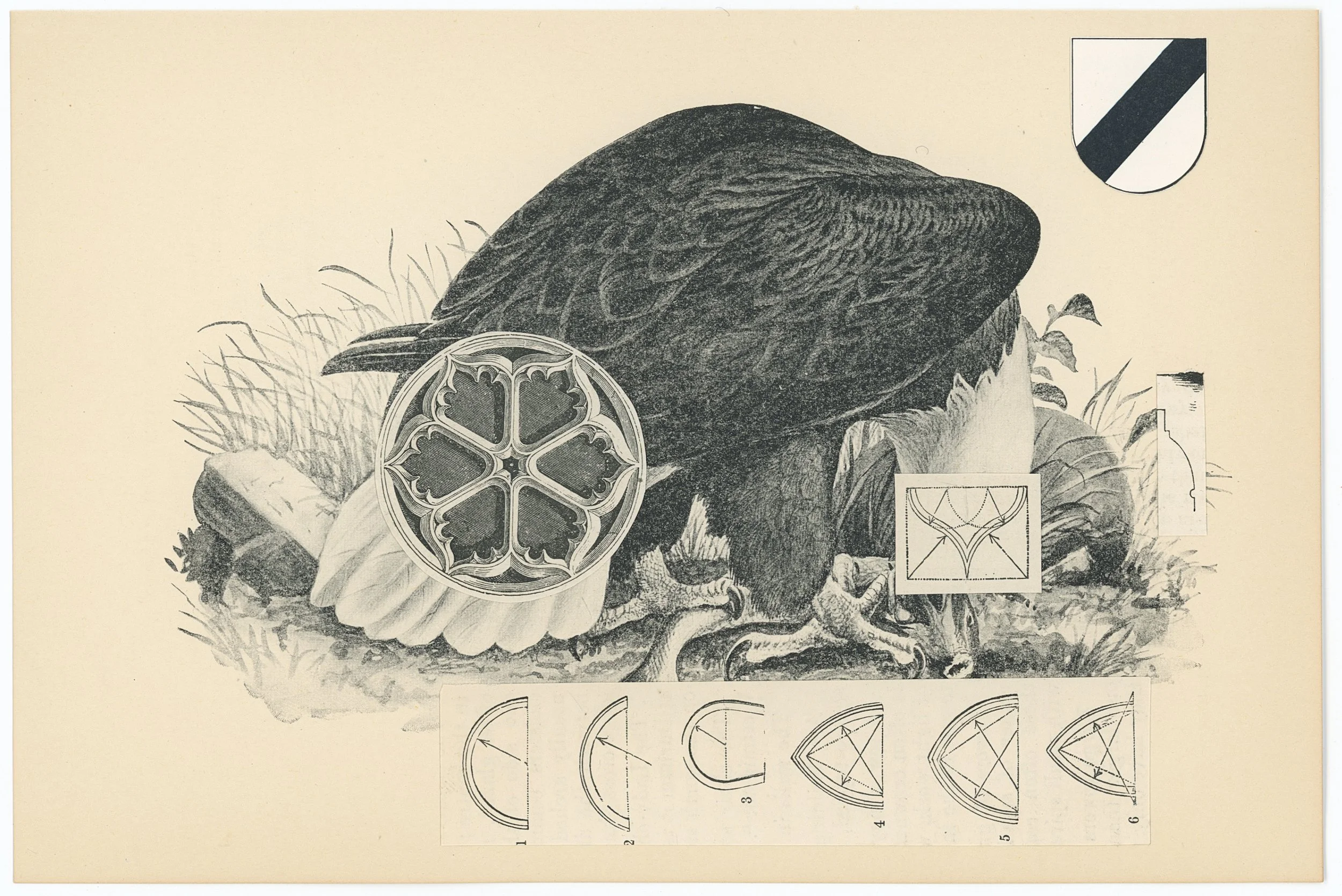 heraldry is a discipline_5.25 x 7.75 inches_2024.jpg