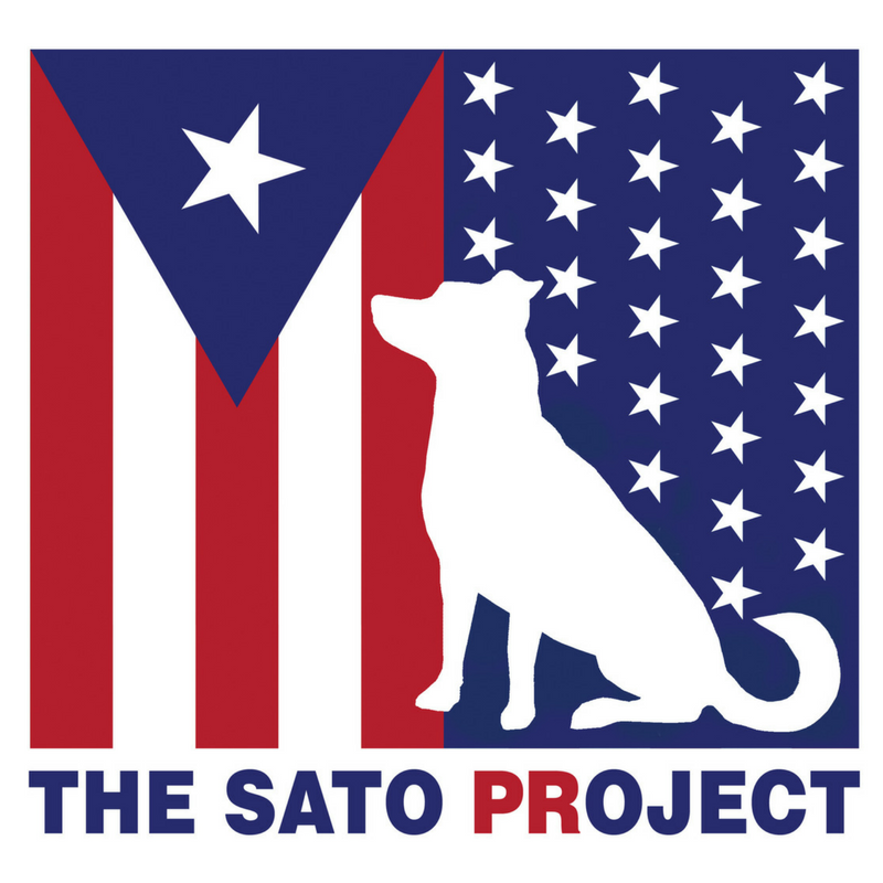 The+Sato+Project+Logo.png