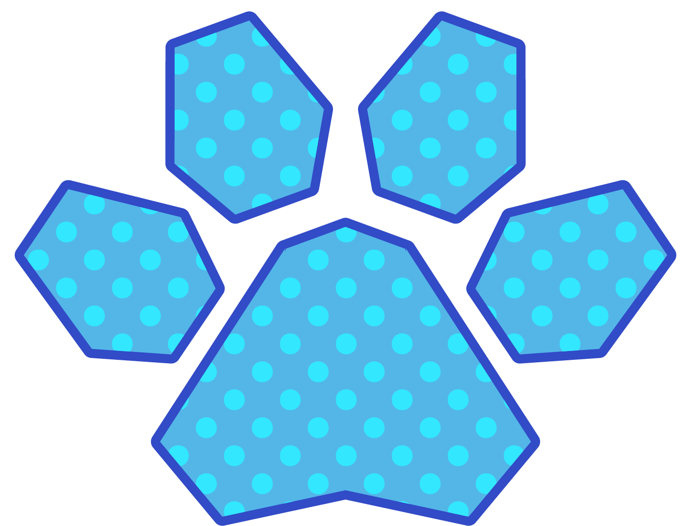 Patterns5-01.png