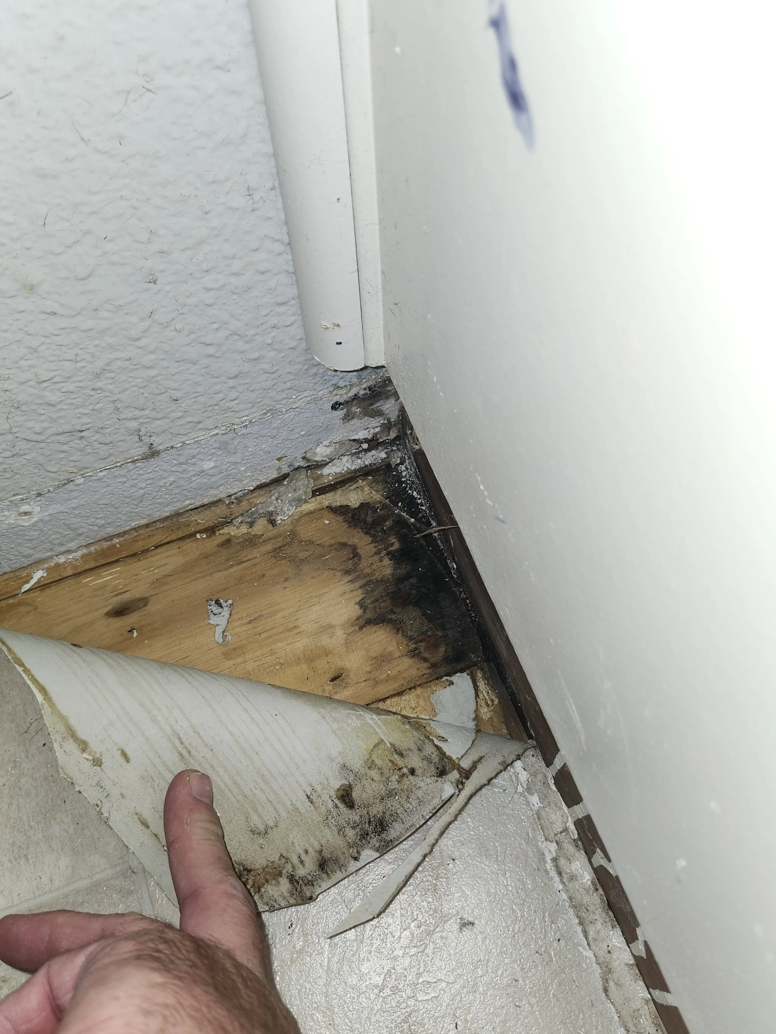 How Bathroom Flooding Can Affect the Surrounding Rooms in Your Home