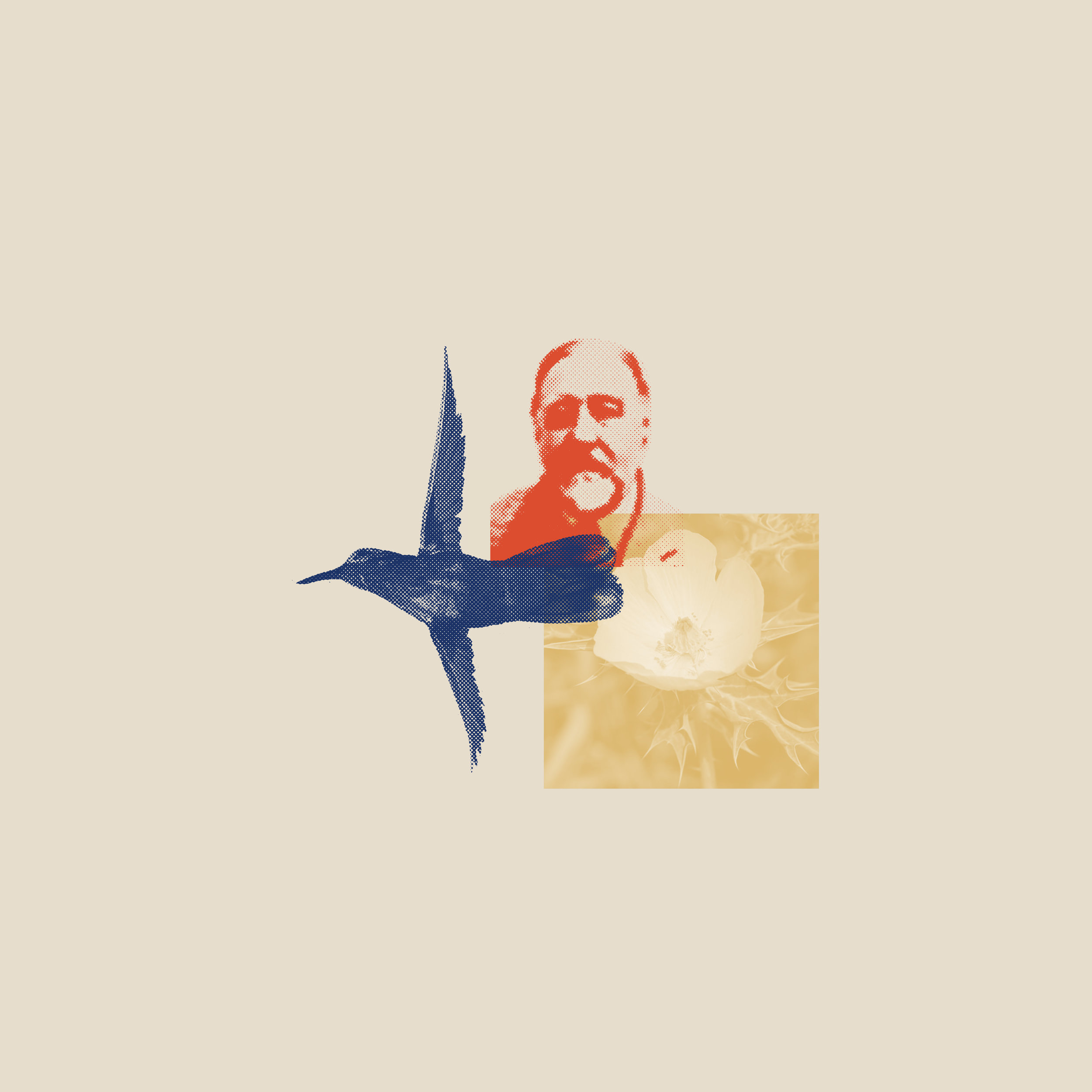 Rosys_Test_Banner.jpg