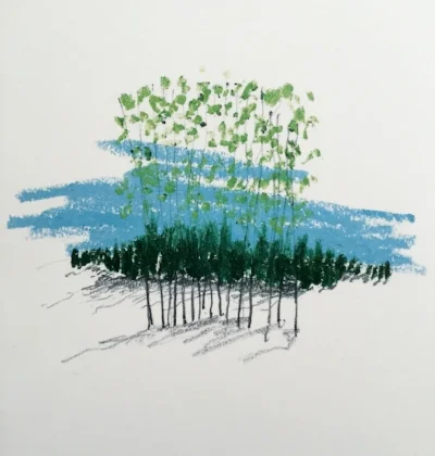 Aspens, by Dave Leedy