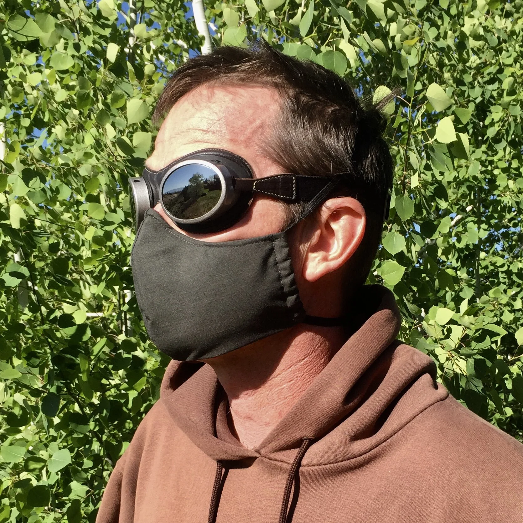 Fancy Pony Land face mask