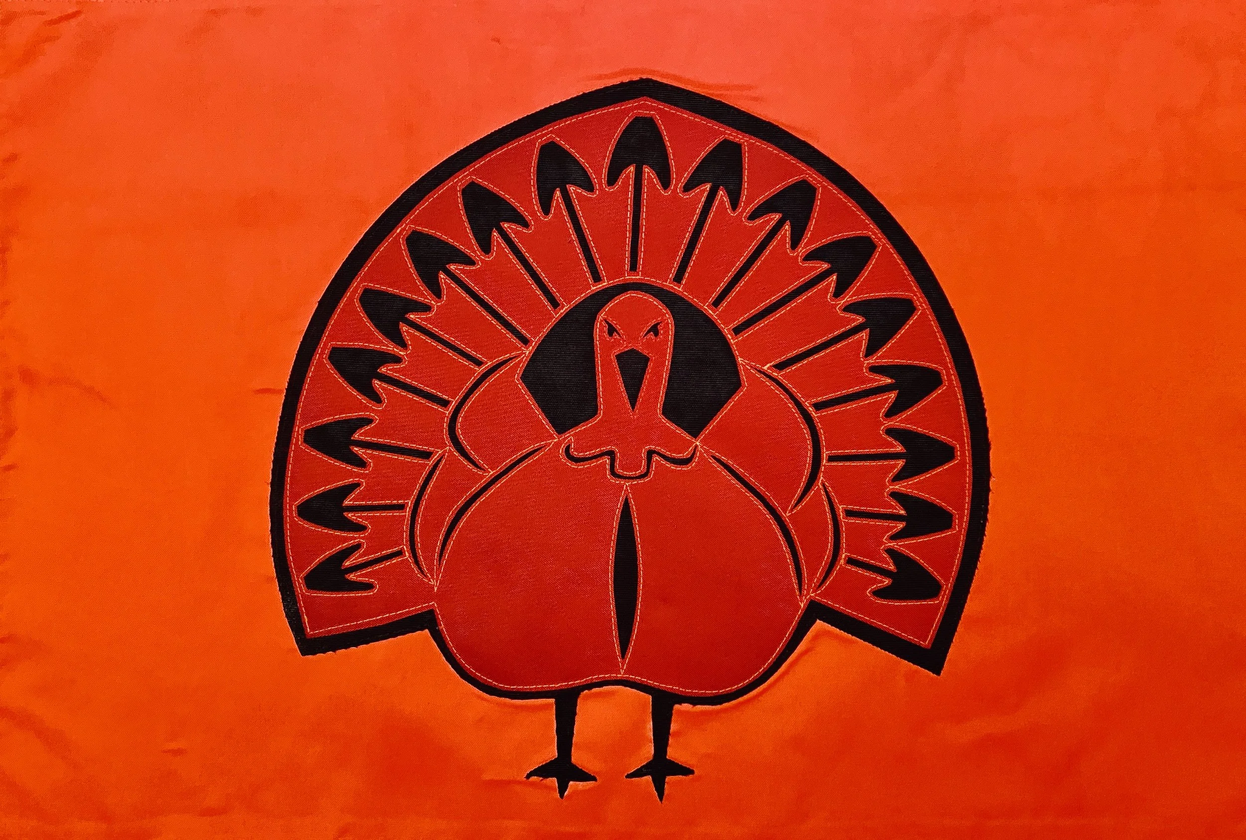 nerf battle turkey.JPG
