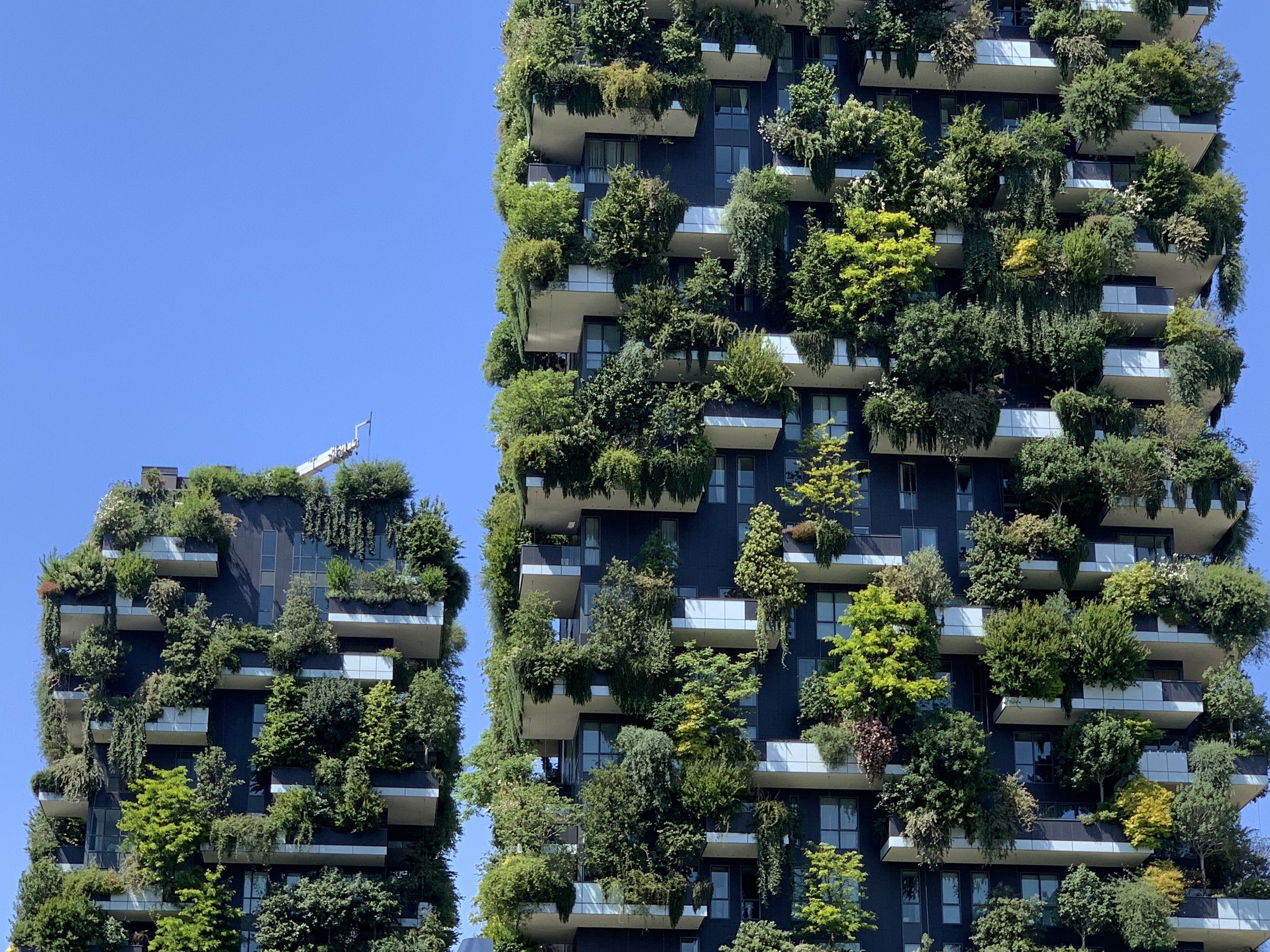 Il bosco verticale 