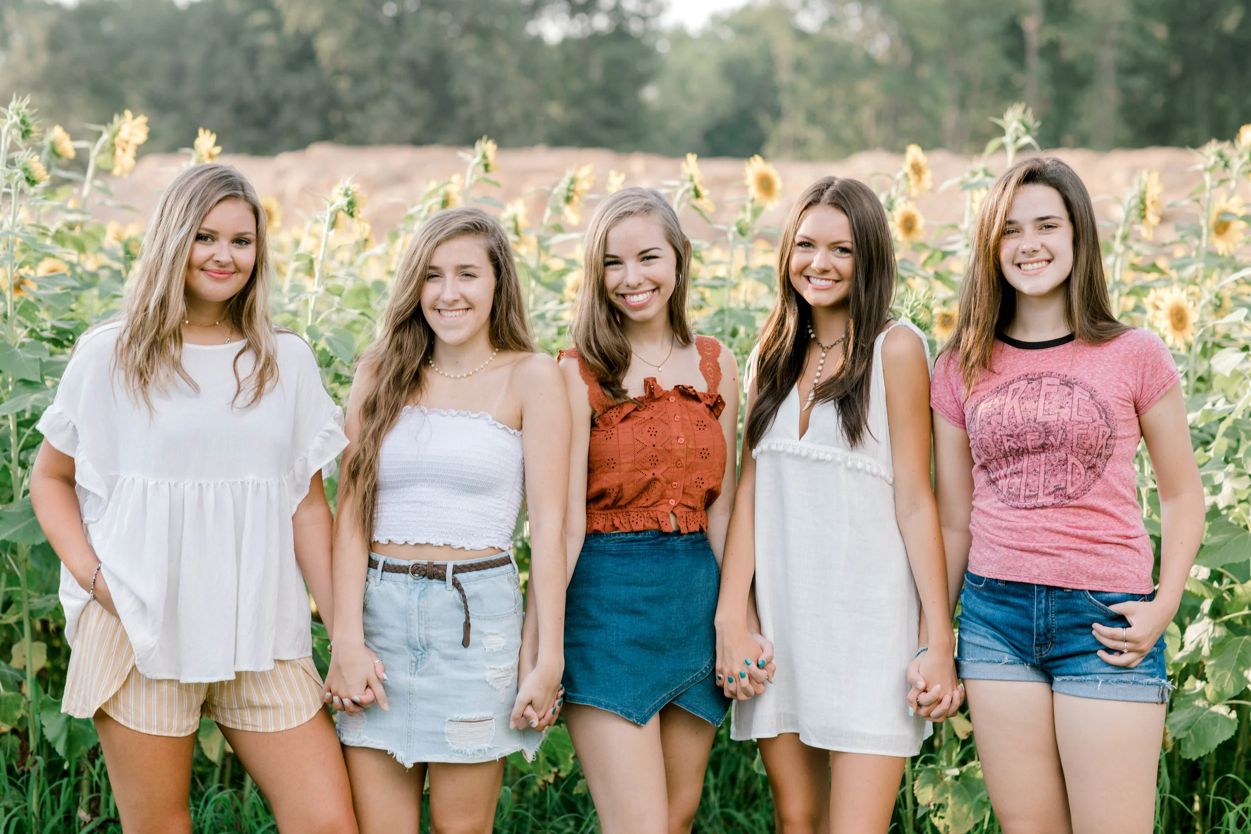 sunflower (77 of 152).jpg
