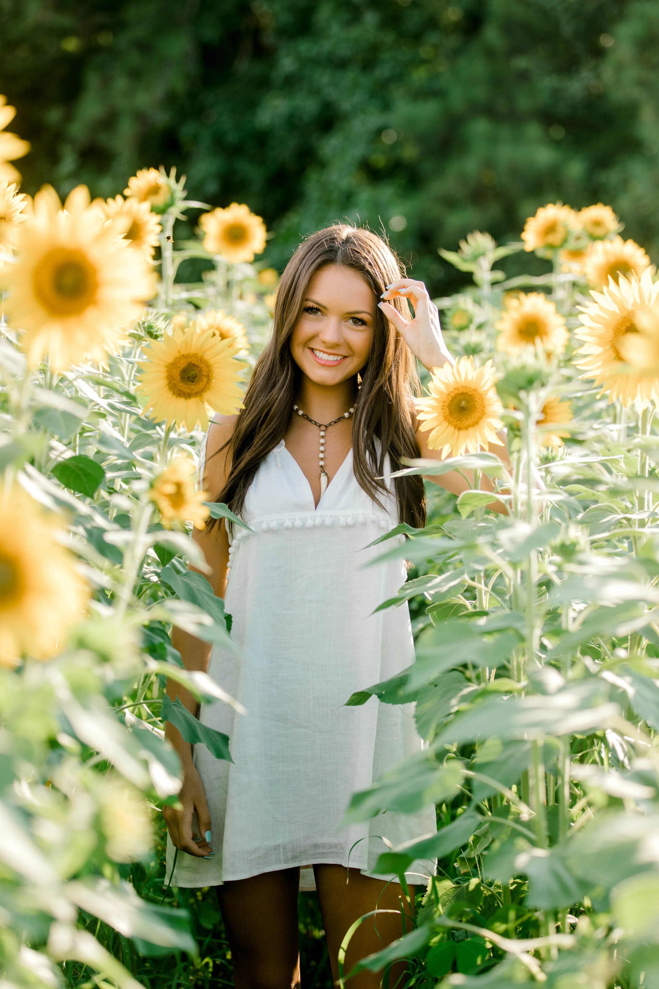sunflower (34 of 152).jpg