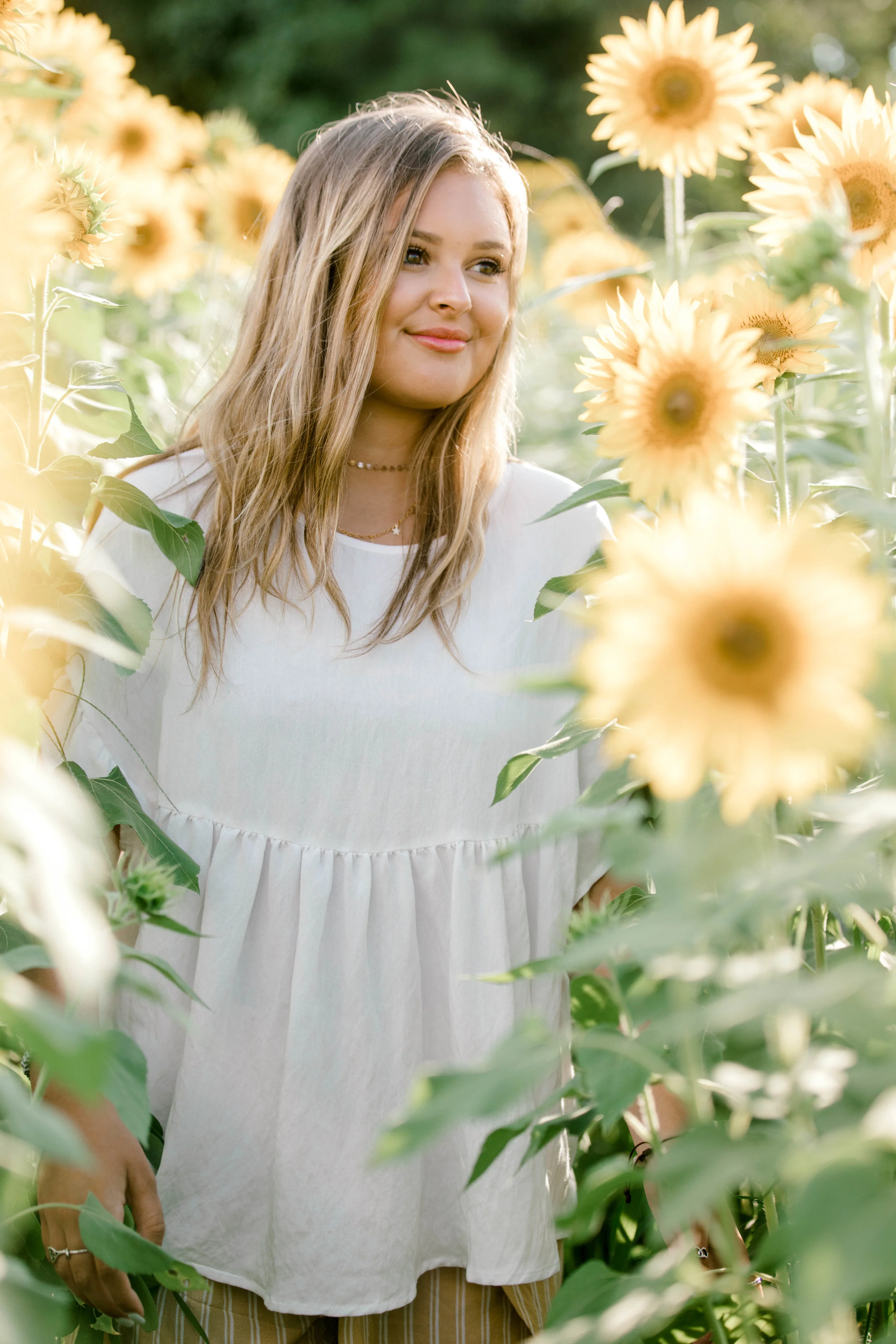 sunflower (9 of 152).jpg