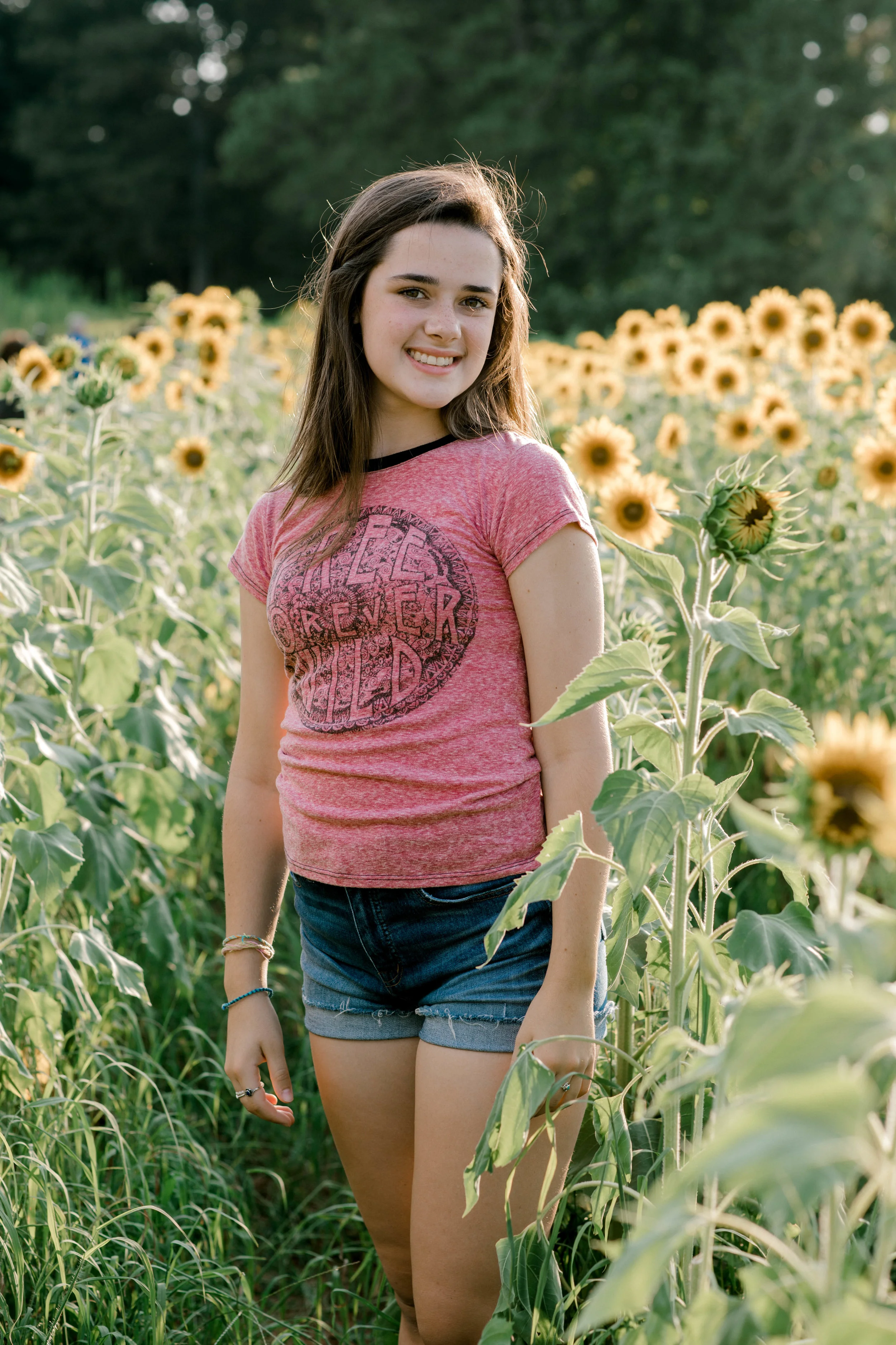 sunflower (101 of 152).jpg