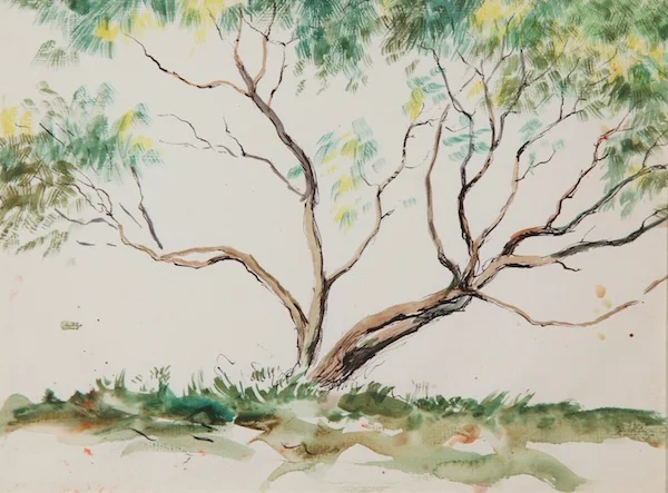 Tree
