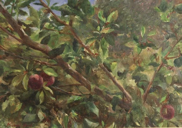 Orchard Plums