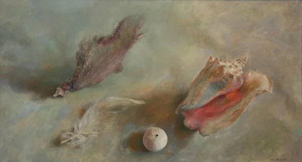 Swan Feather and Shell