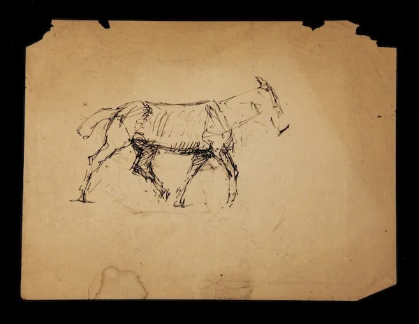 Study of Walking Horse