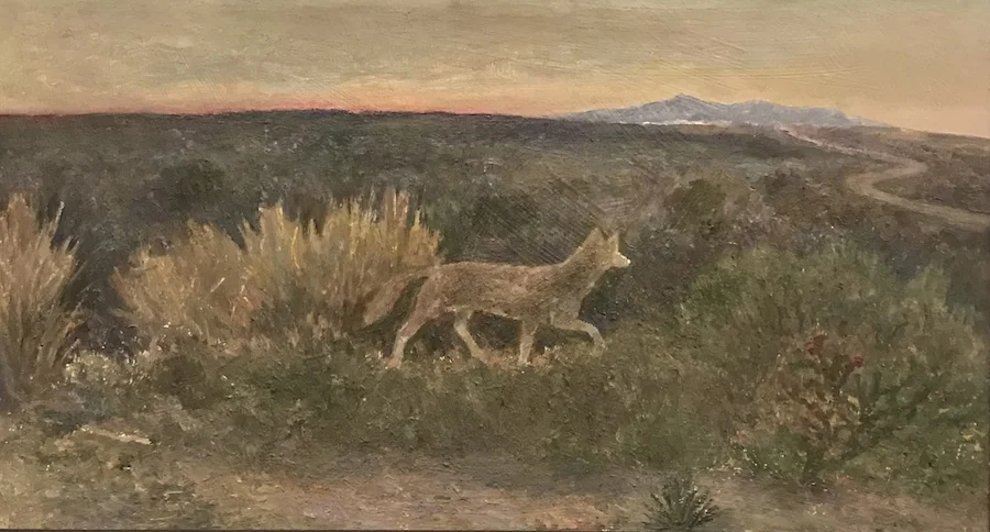 Dusk