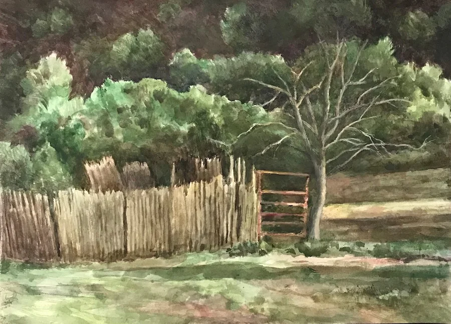 Coyote Fence at Devil's Canyon