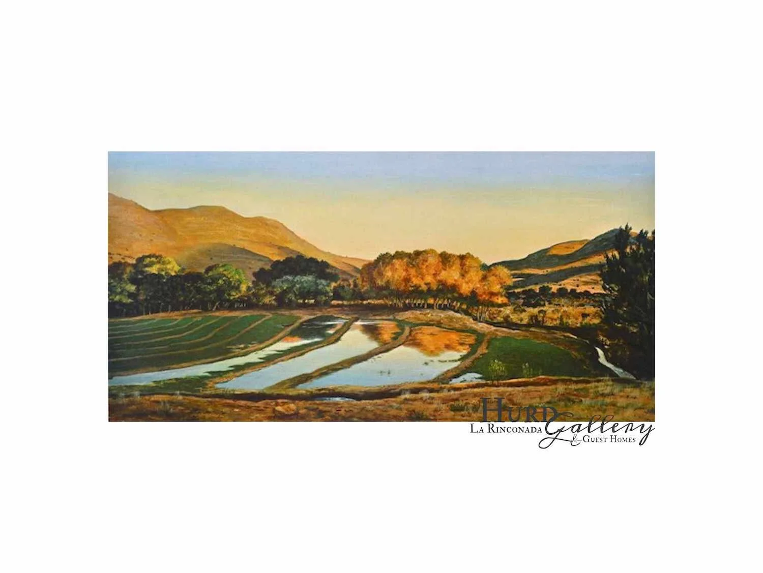 Terraced-Land_PH_print_WEB.jpg