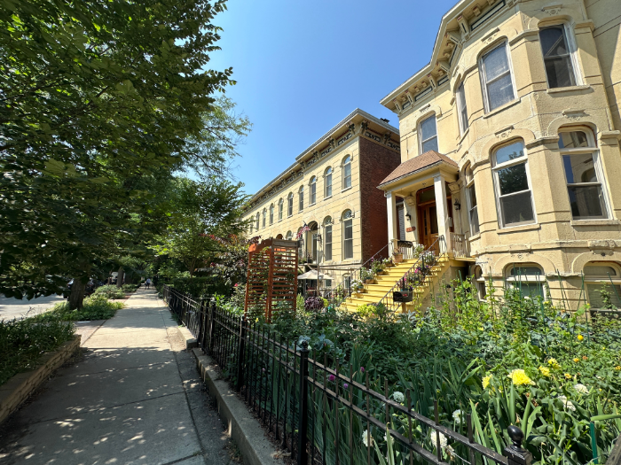 Tree Lined Street in Little Italy