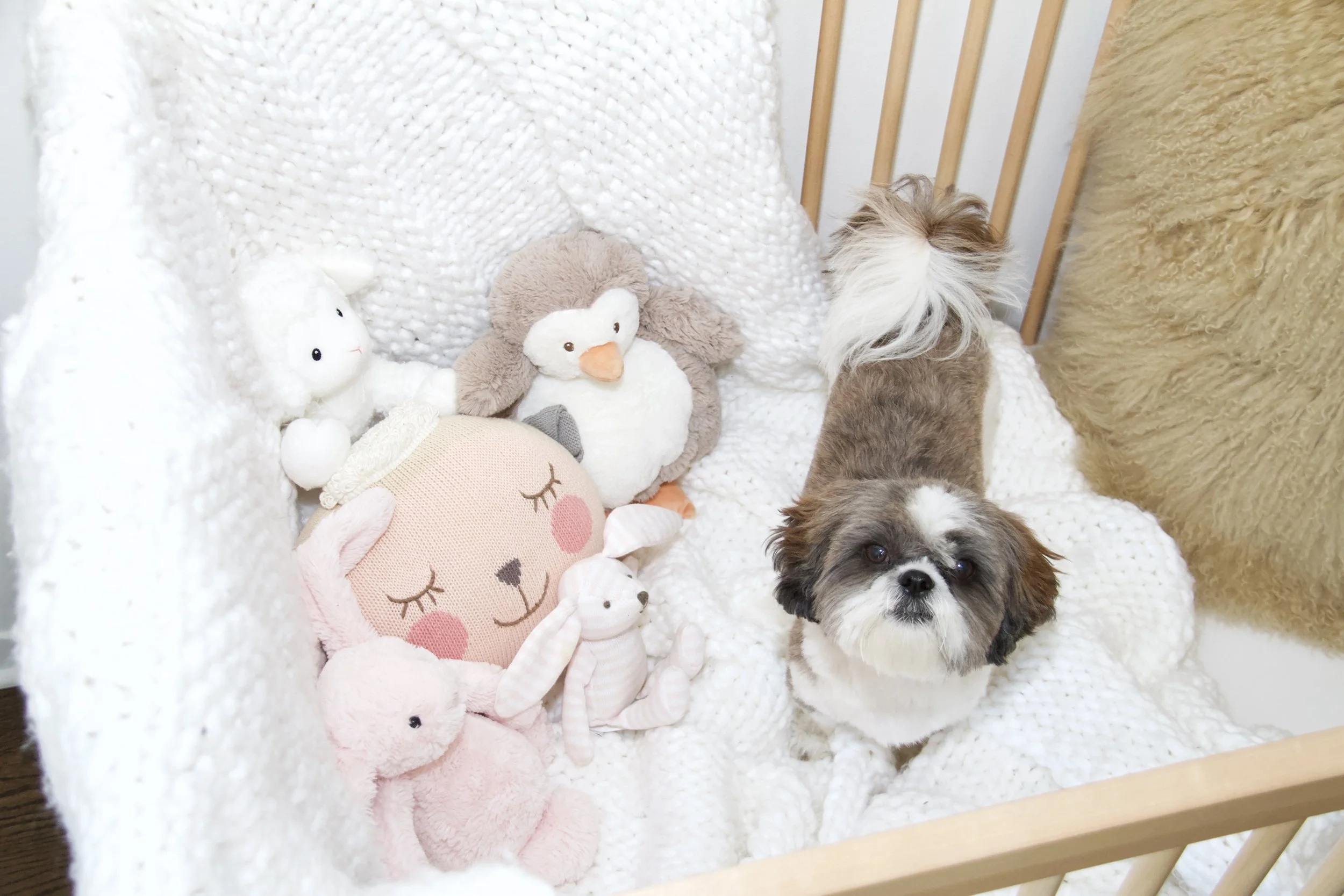 how i grow my nanny career