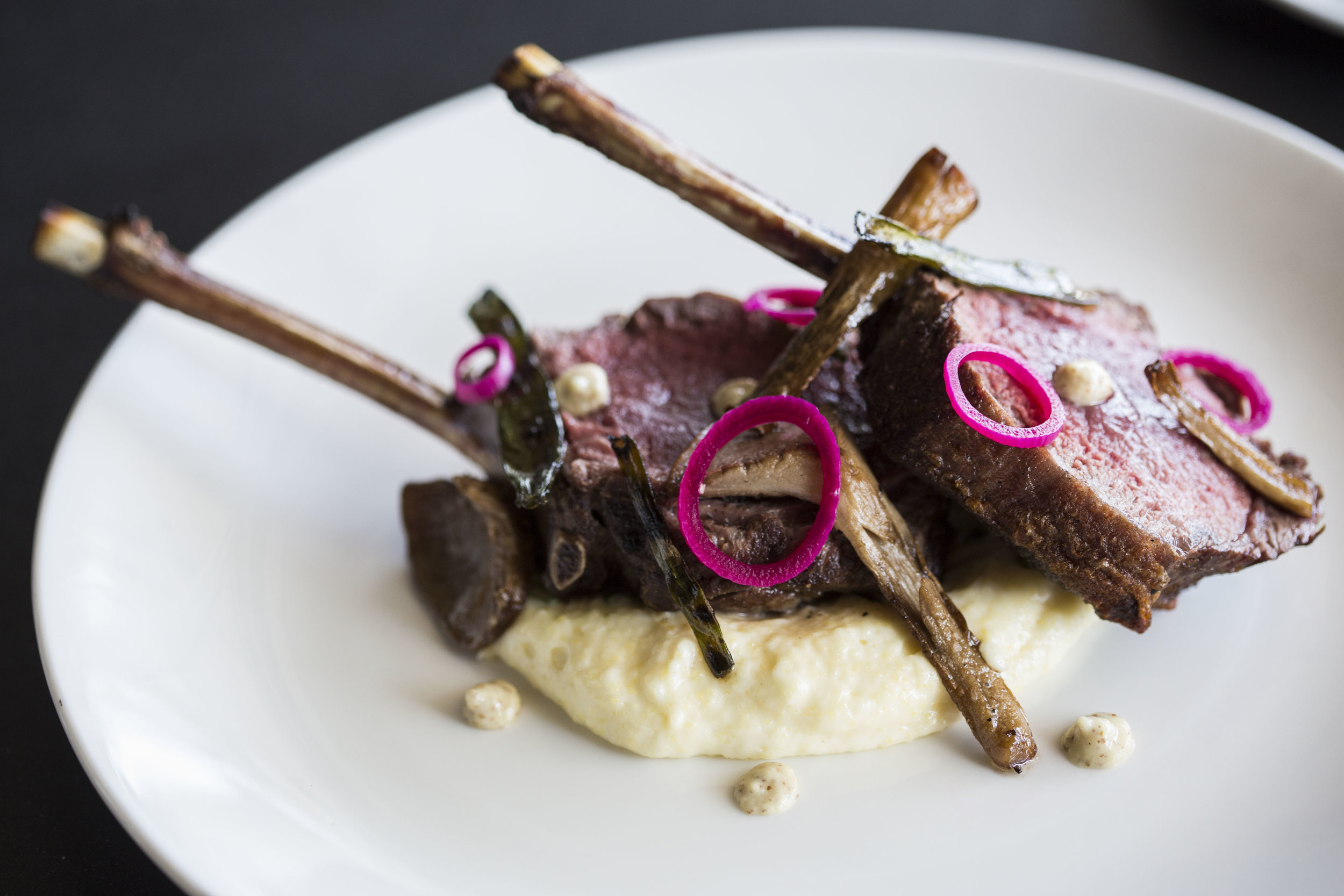 duPont Registry Luxury Living Tampa Bay