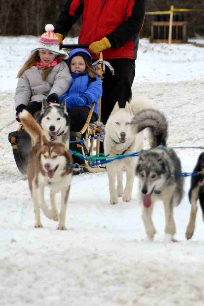Rochester Fire & Ice Festival 2016