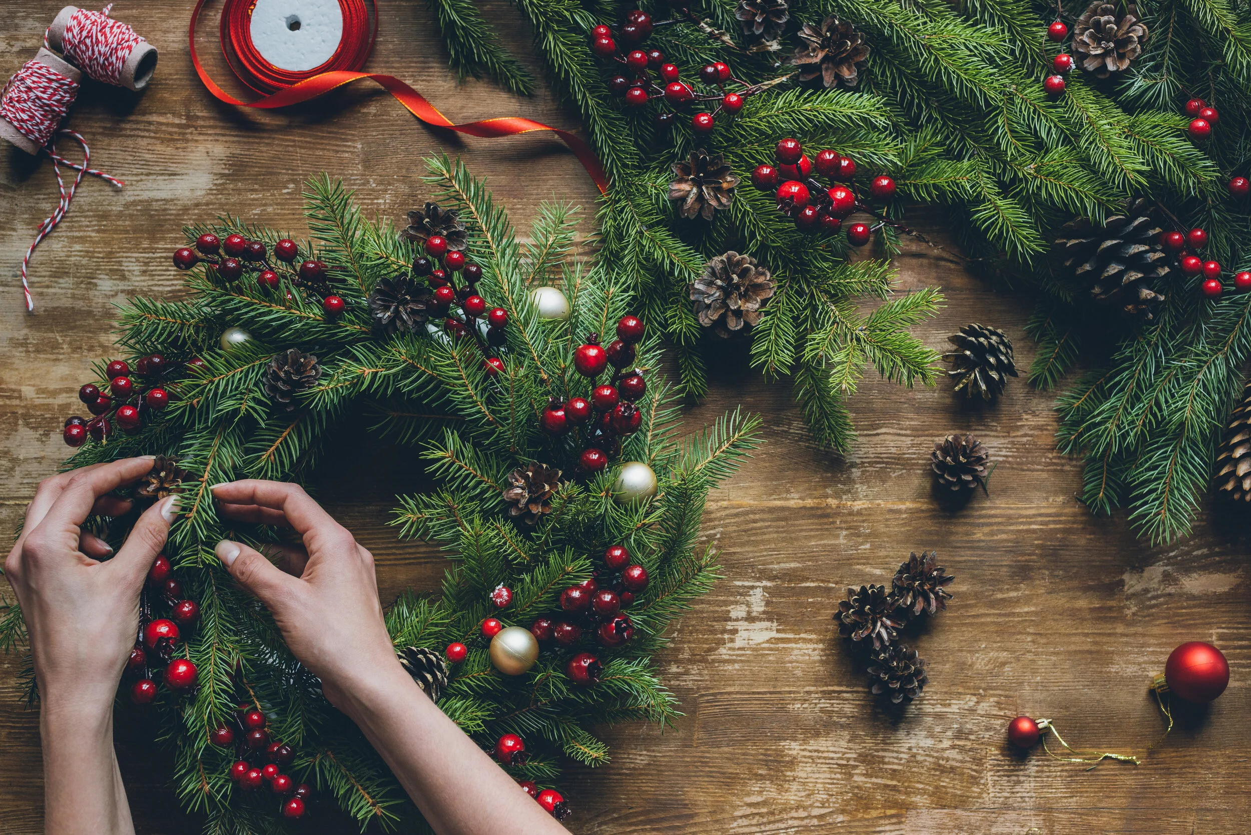 Holiday Fun!