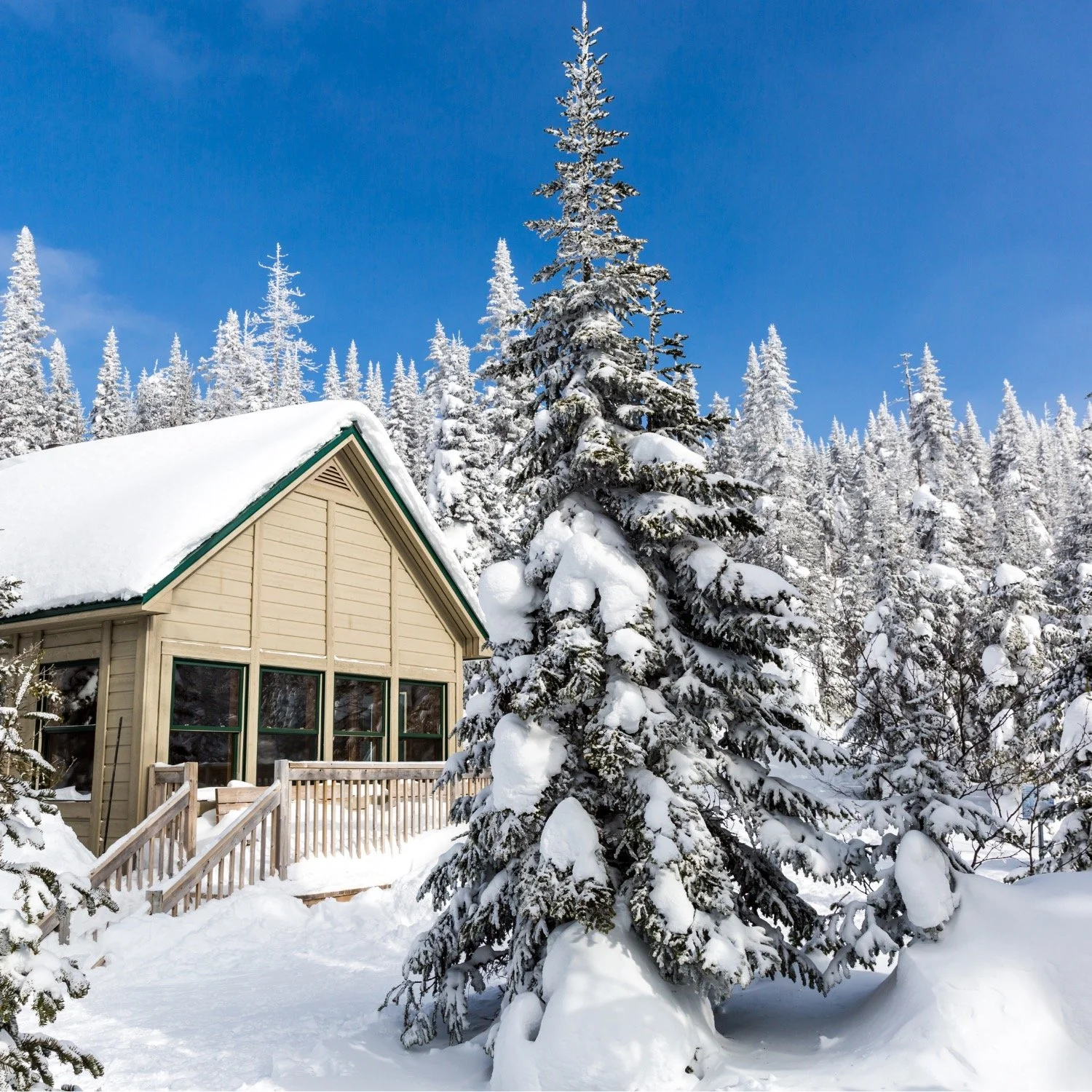 Southeast, MI Market Report | Looking Ahead to 2024