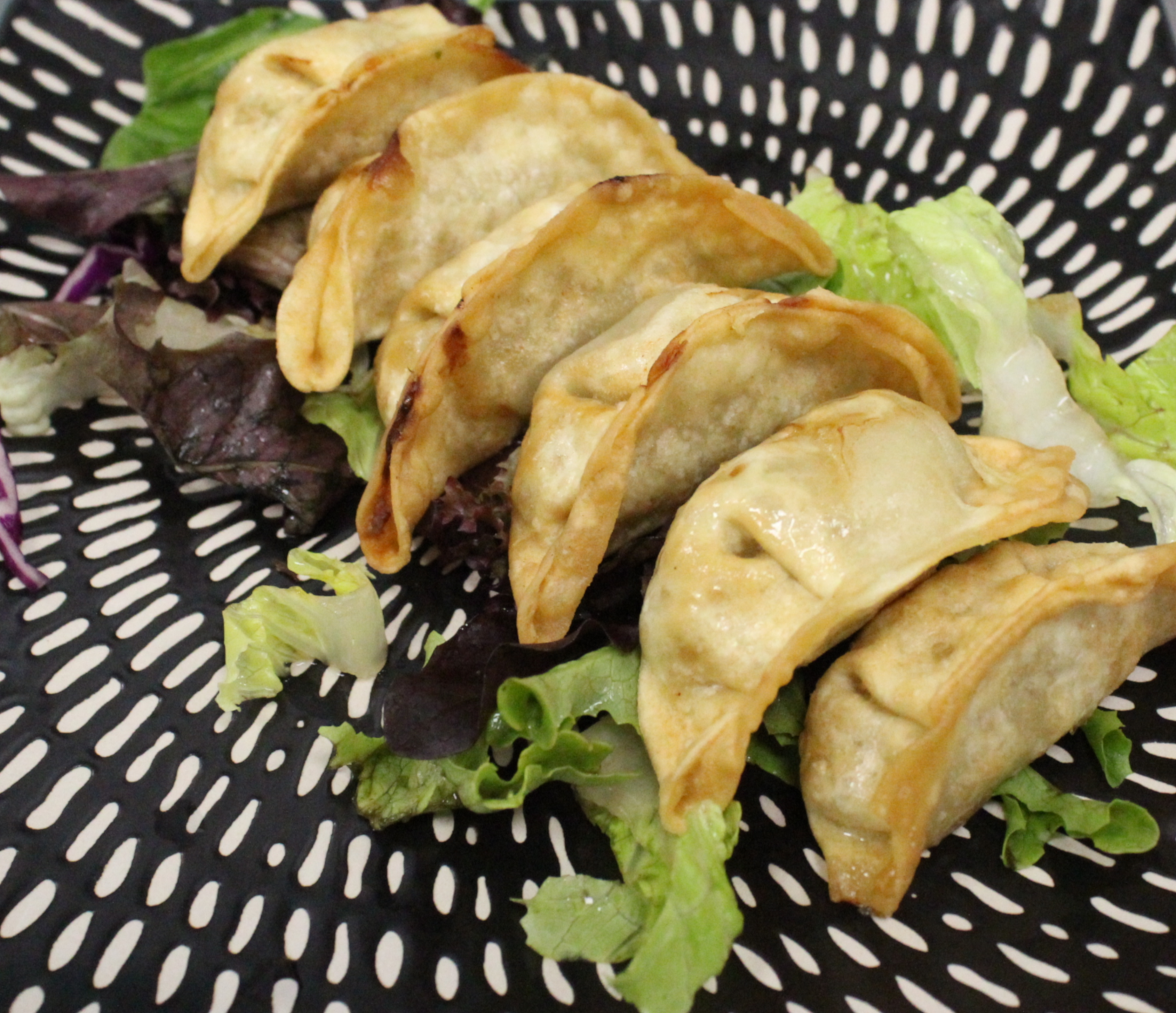 Fried Dumplings