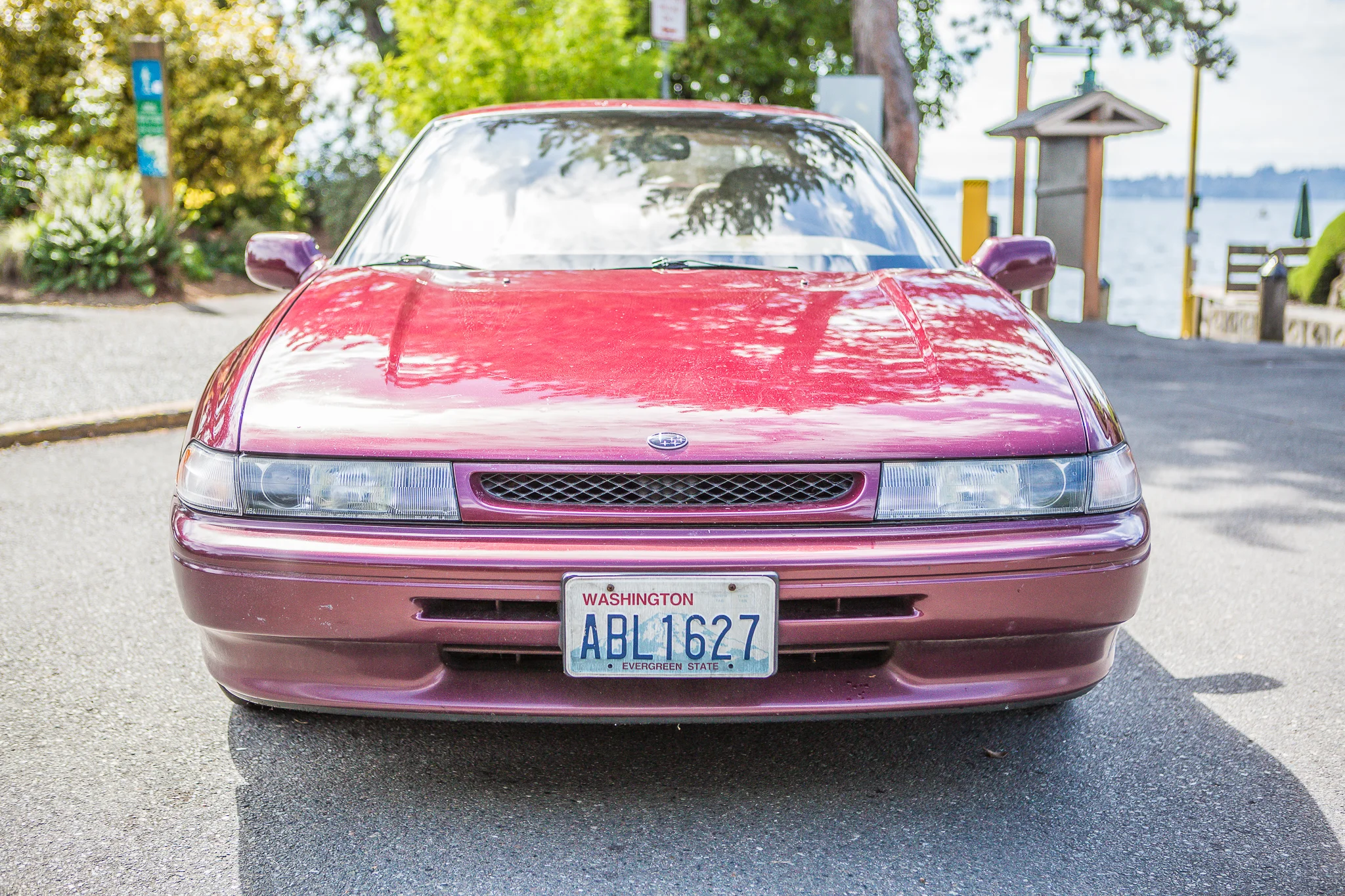 184A1554.jpg