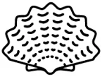 shade icons-01.jpg