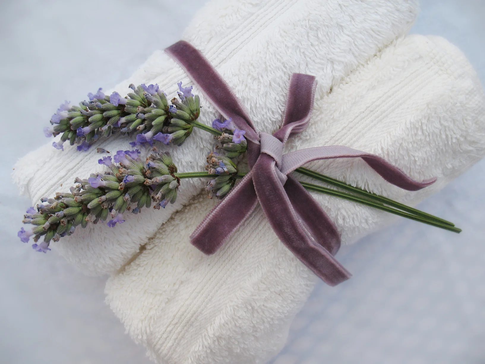 Copy of towels