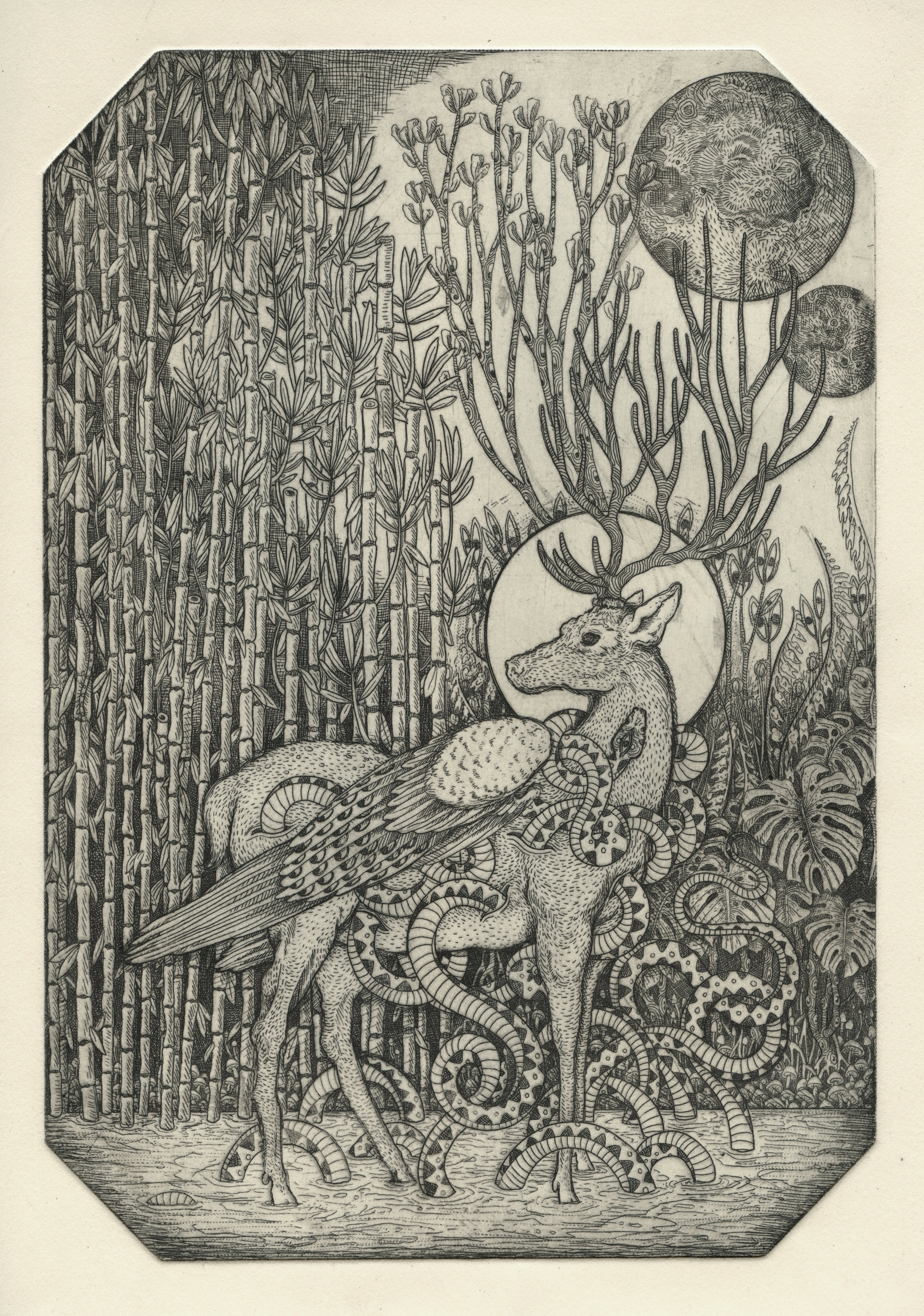 Take Root, mixed intaglio, 2017, 12 x 9 inches