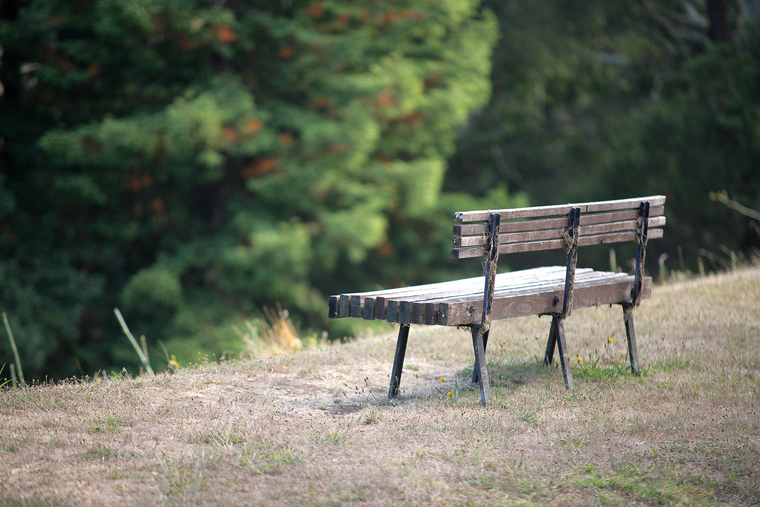 seminarybench.JPG