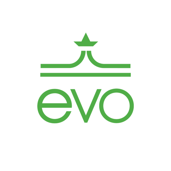 A logo featuring a stylized green yin-yang symbol with a star shape on top, and the word 'evo' written below in lowercase green letters.