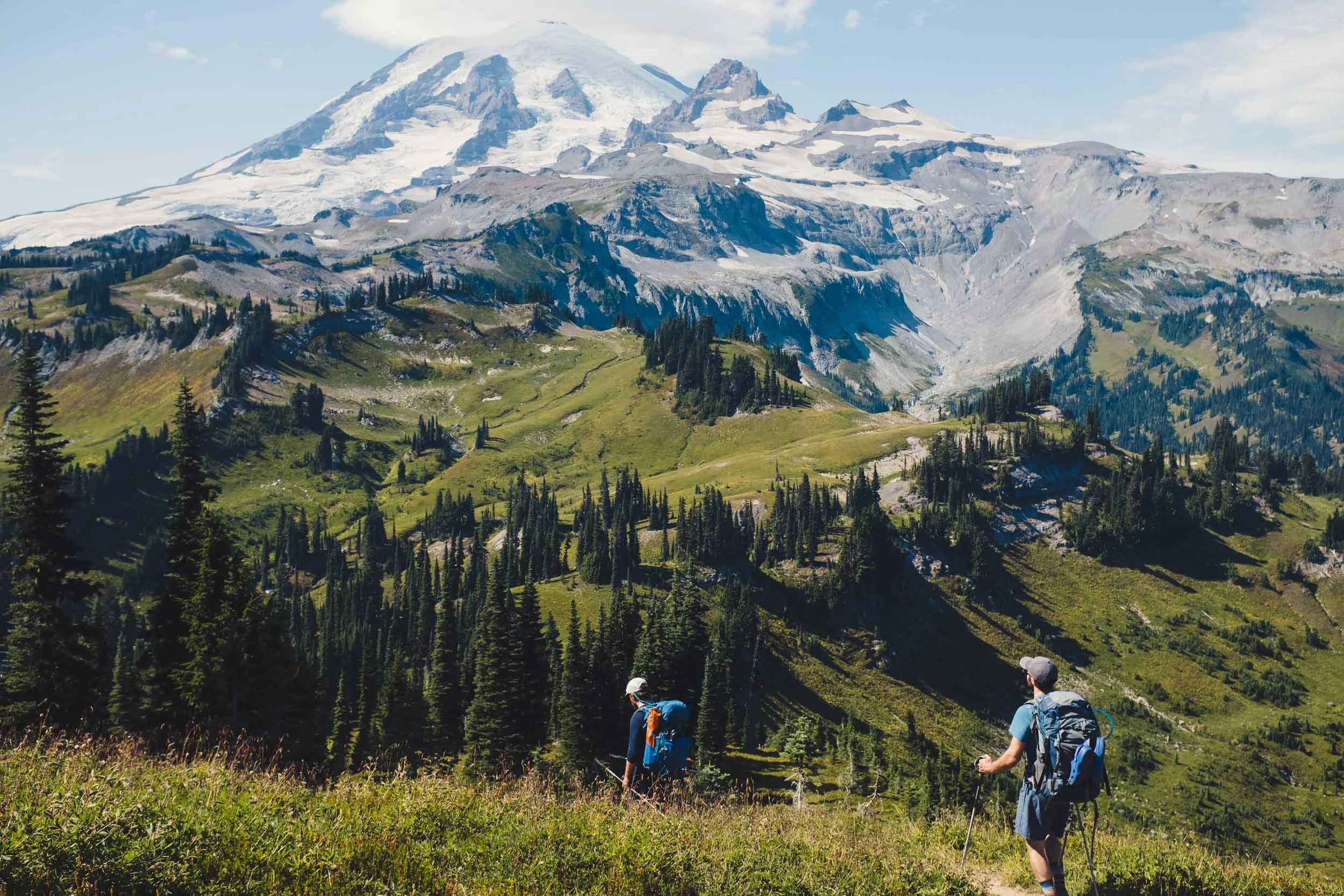Two hikers with backpacks walking through a green field in a mountainous landscape with snow-capped peaks and lush pine trees.