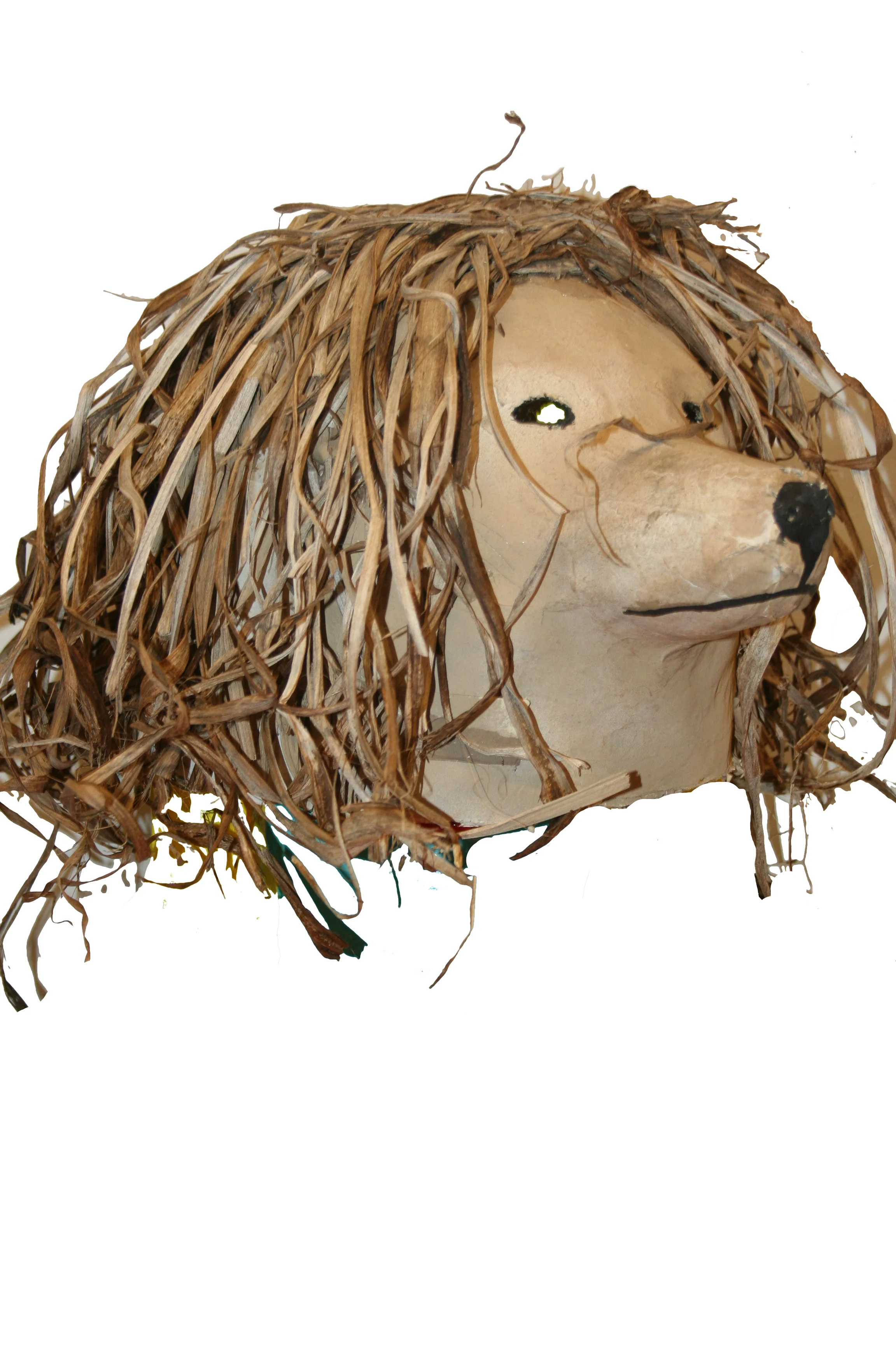 dog hair mask.jpg