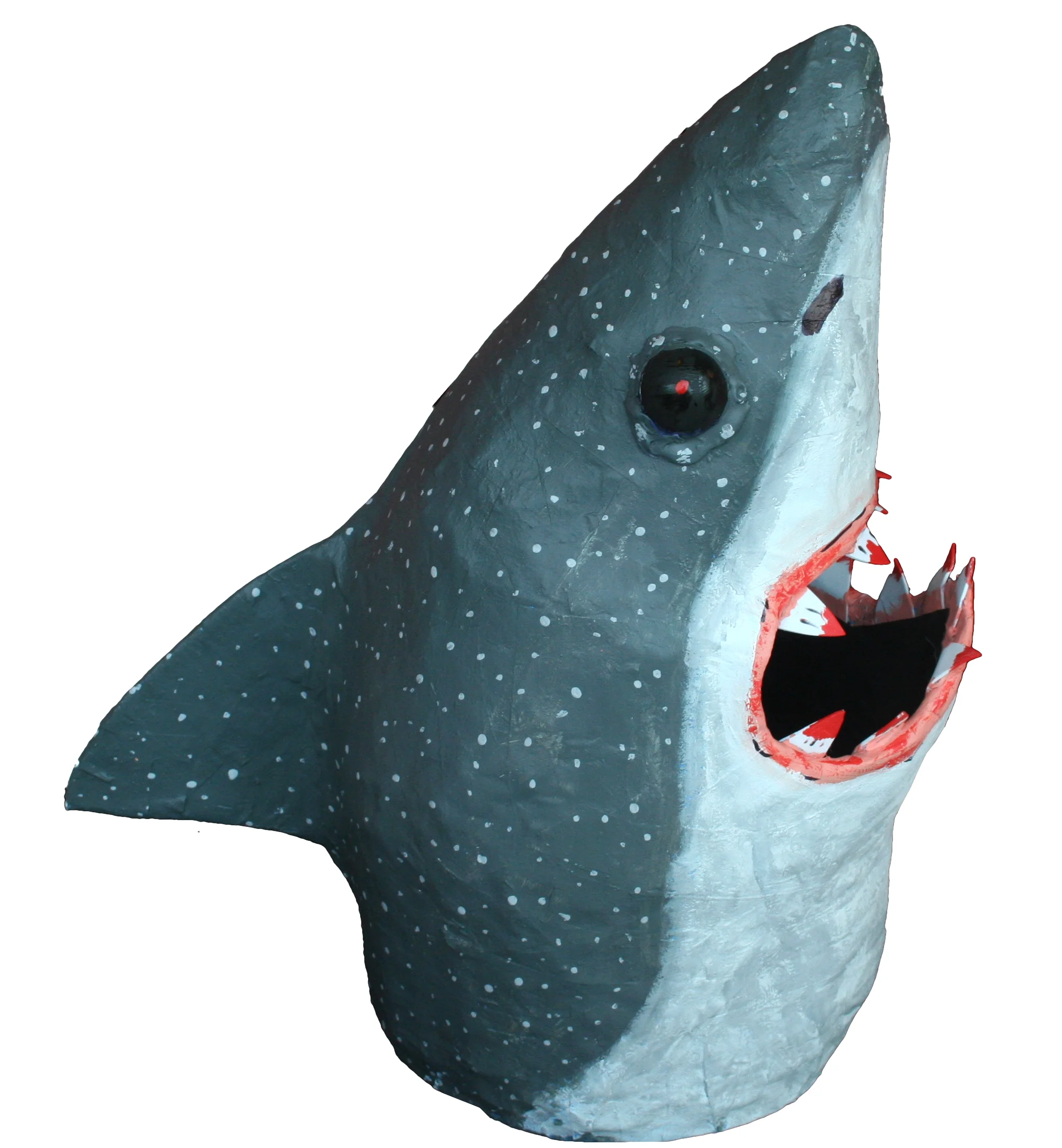 shark 2.jpg