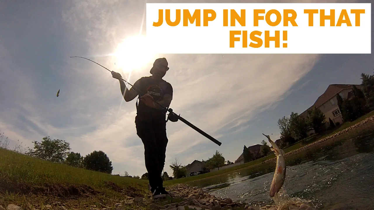 Post 3. Basstober Trick or treat 